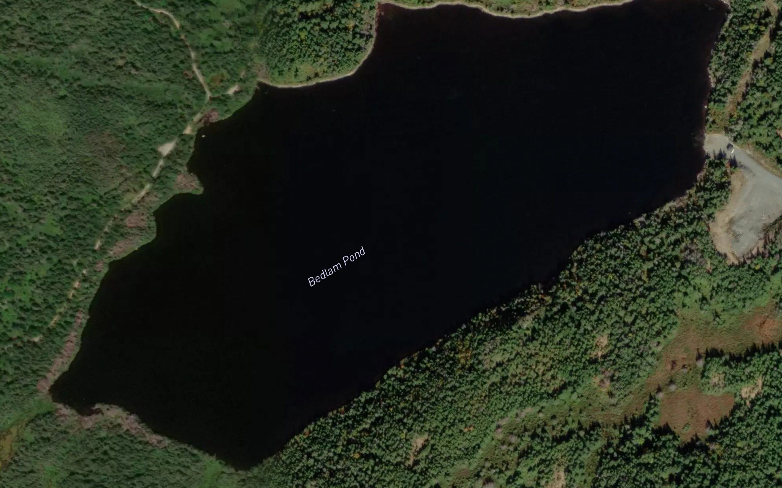 Bedlam Pond
