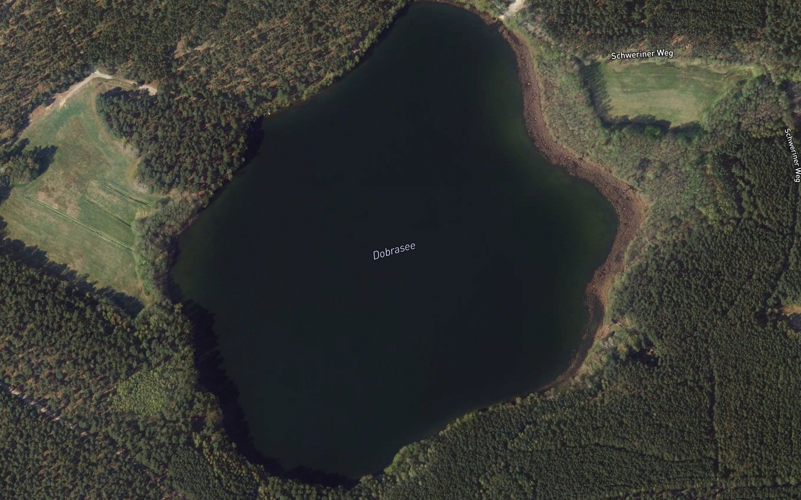 Dobrasee