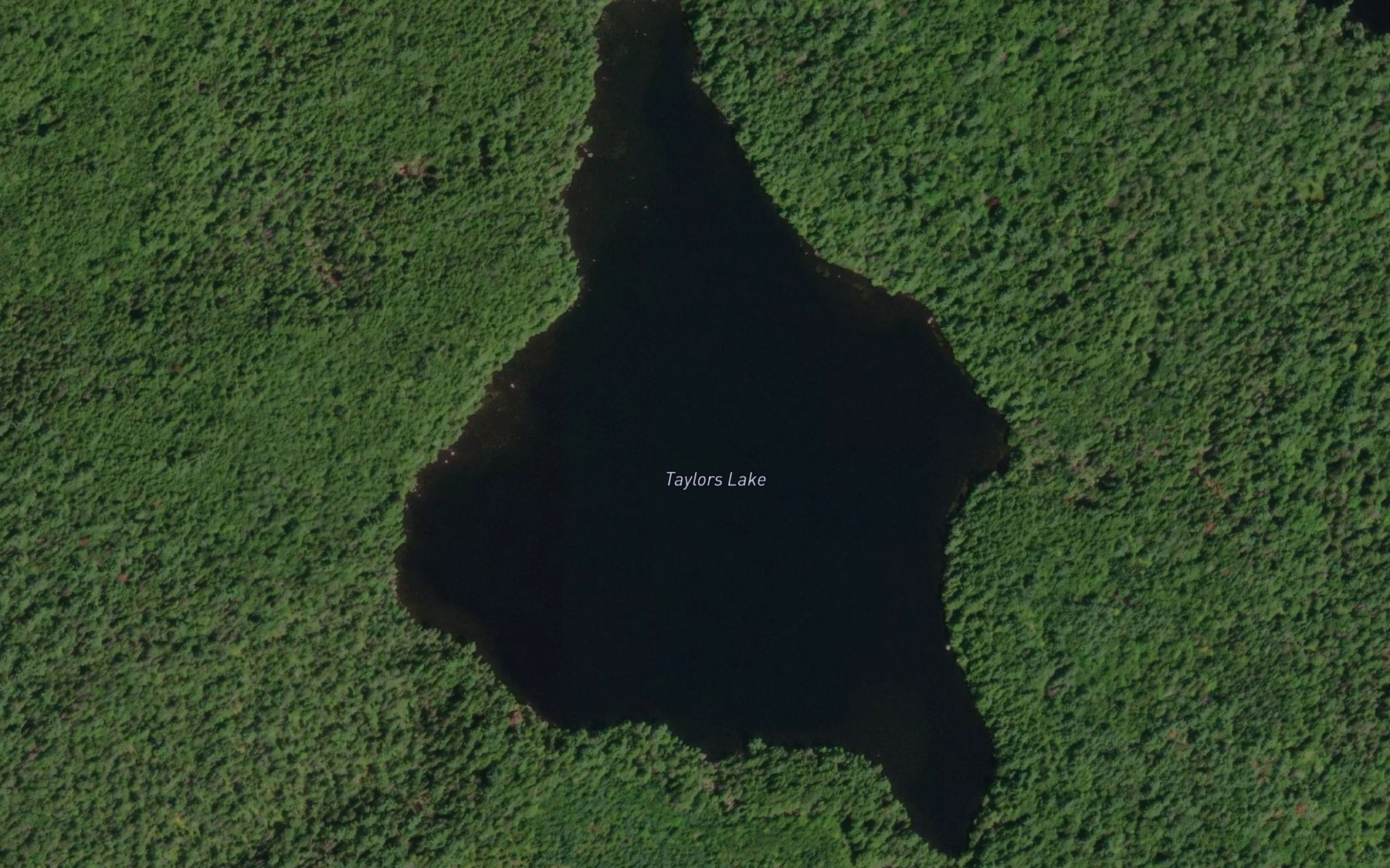 Satellite map of the Taylors Lake