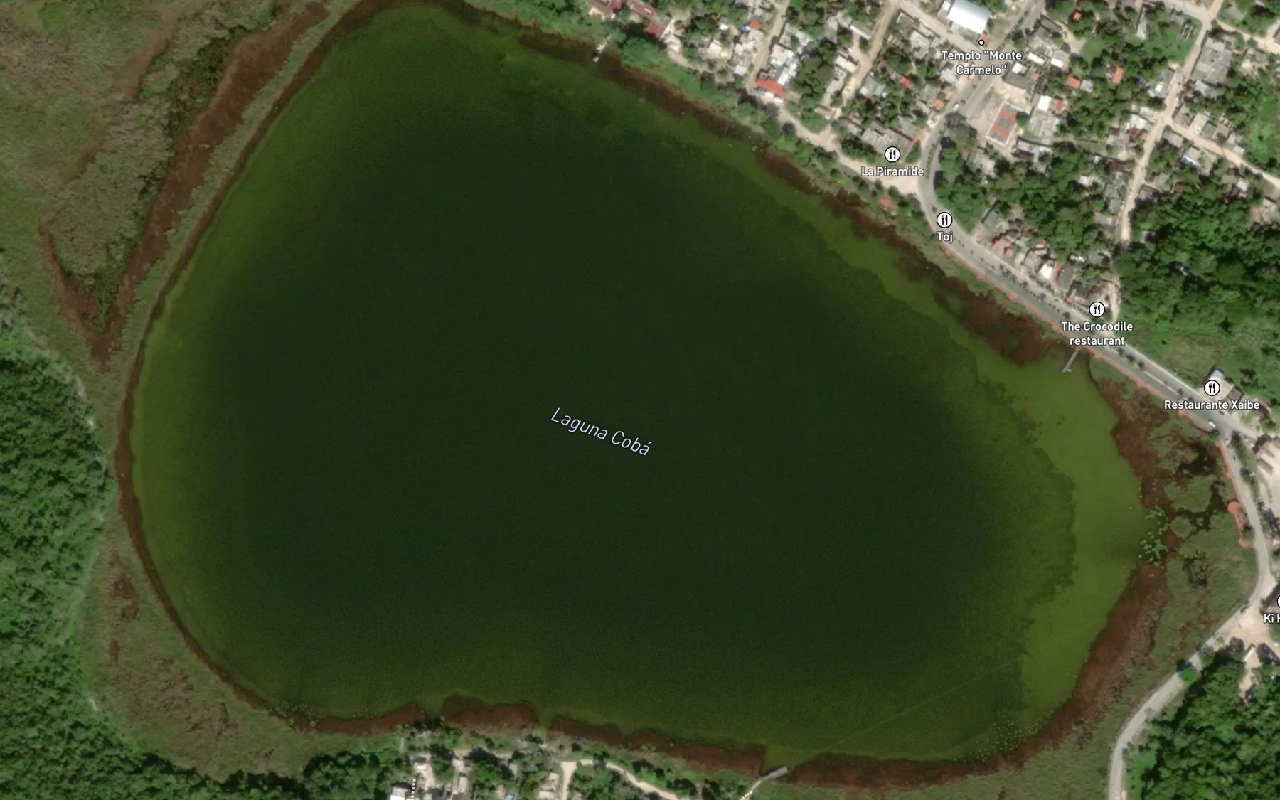 Satellite map of the Laguna Coba