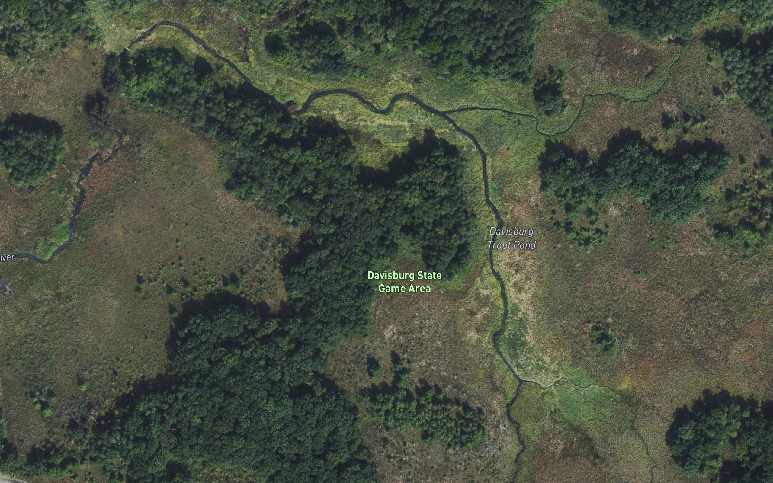 Davisburg Trout Pond