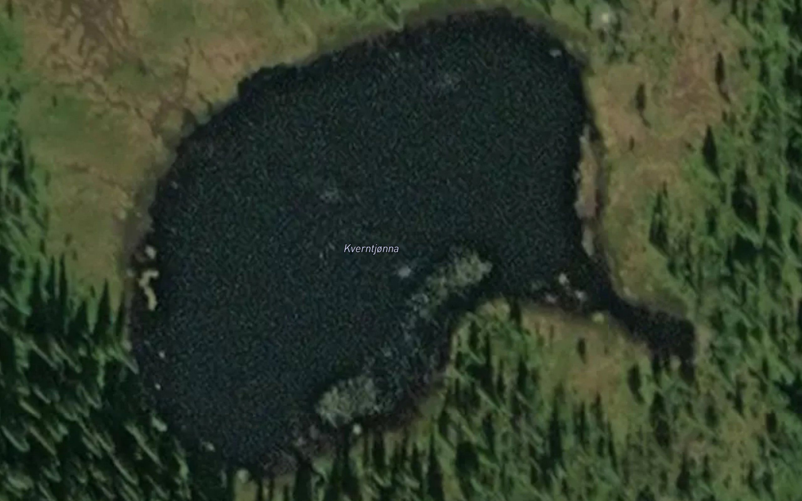 Kverntjonna