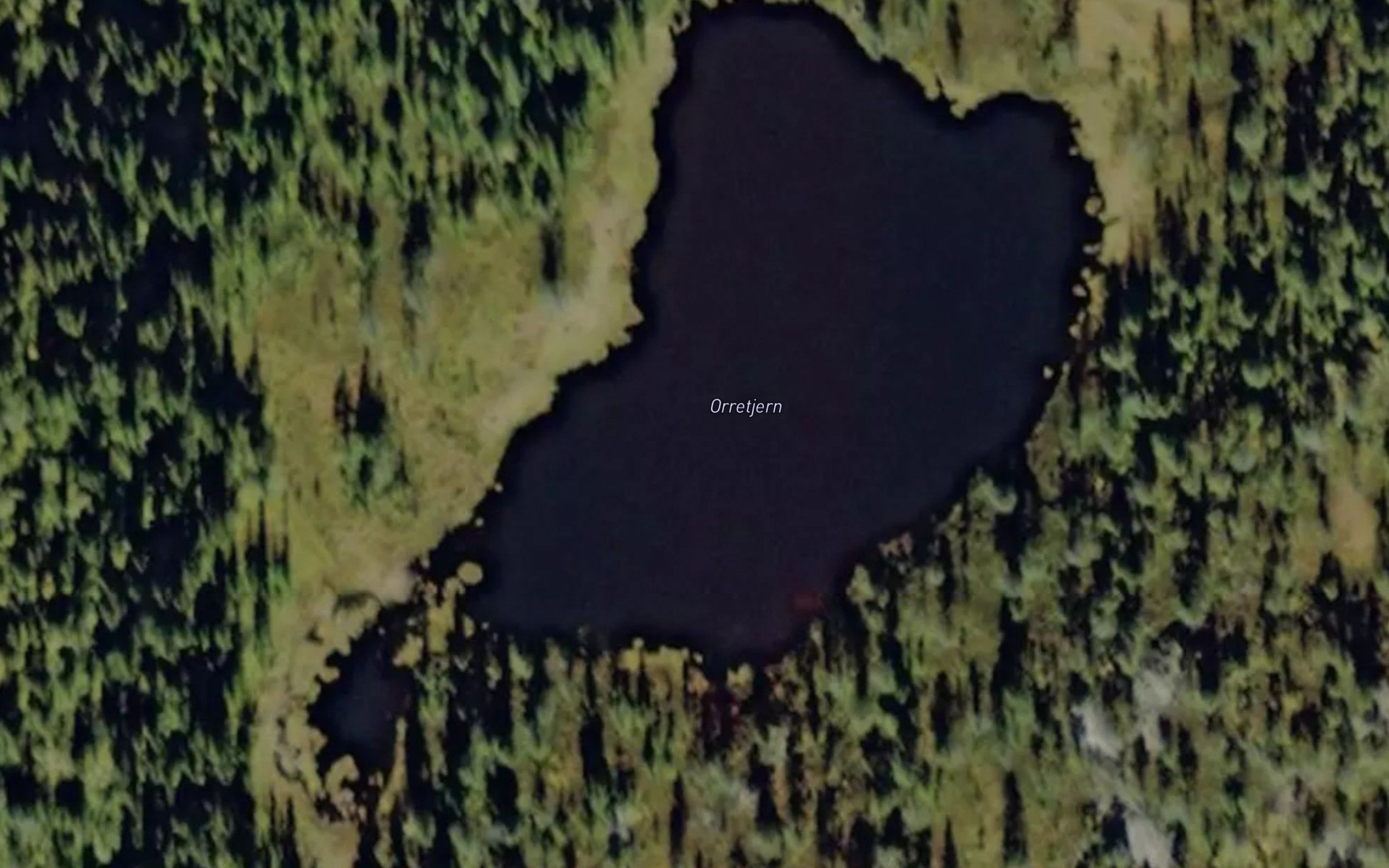 Orretjern