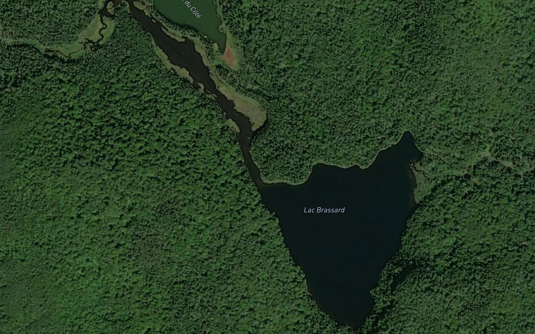 Satellite map of the Lac Brassard