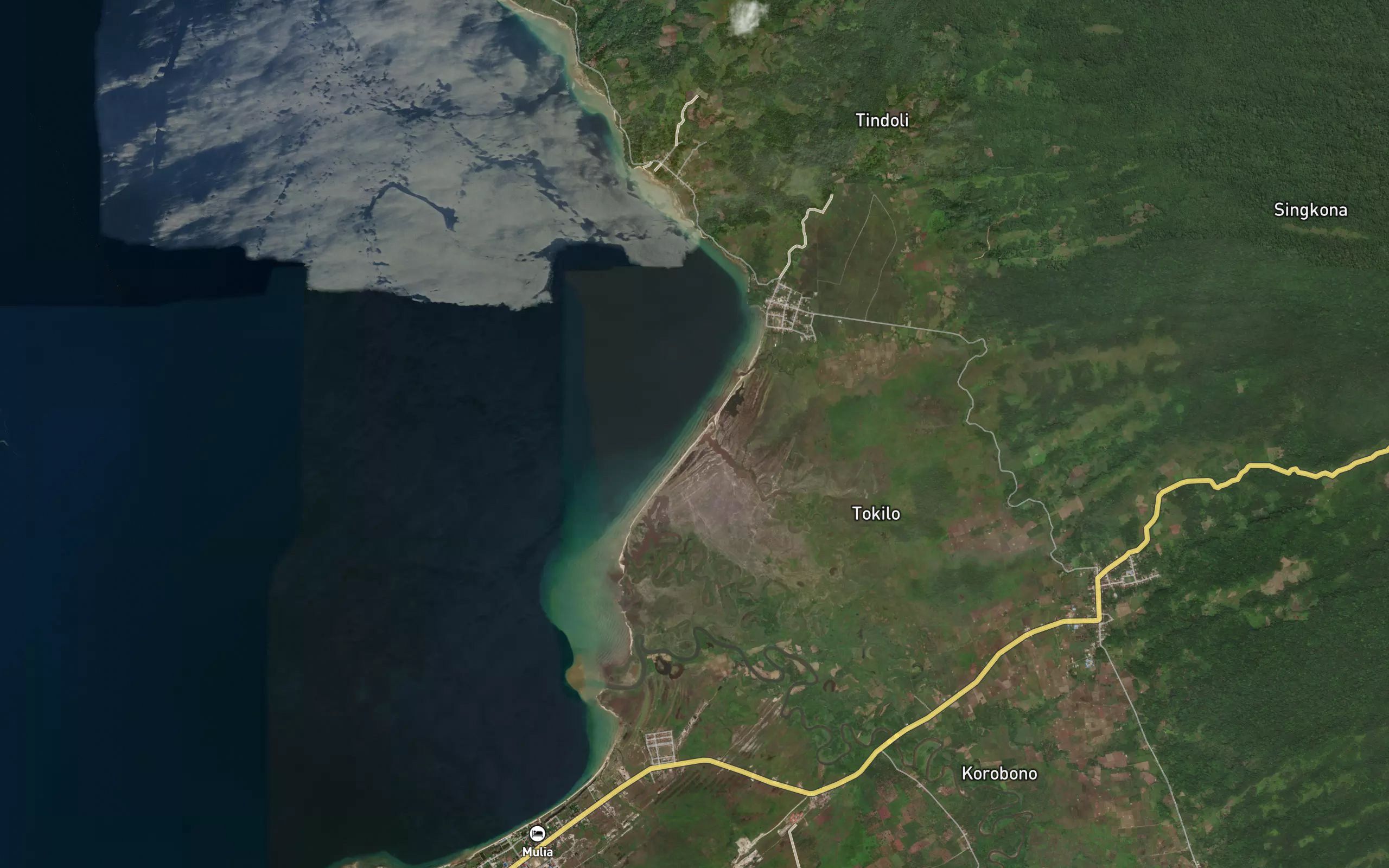 Muara Salenoa
