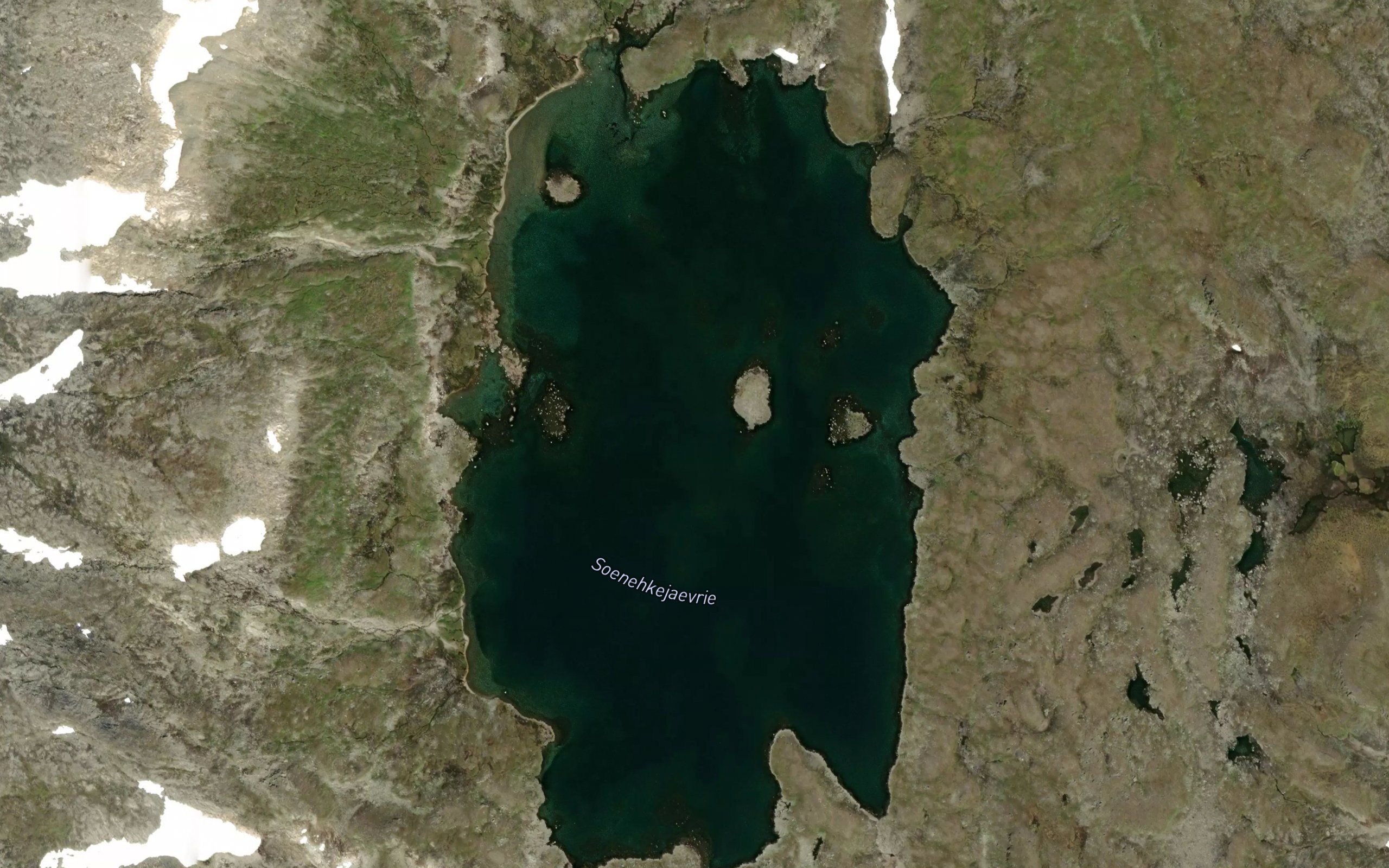 Soenehkejaevrie