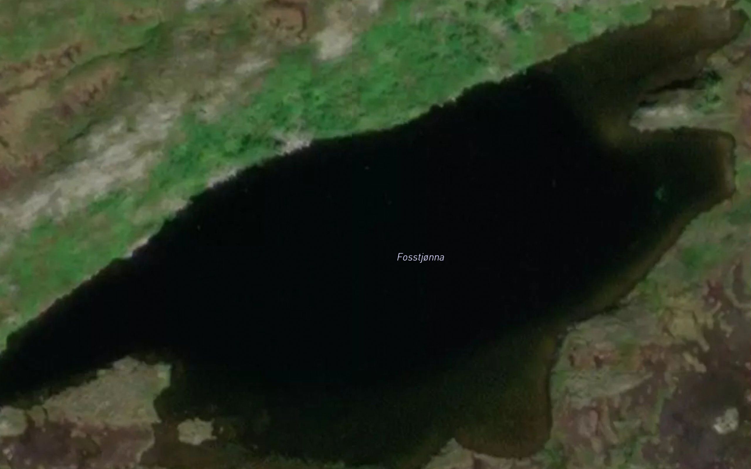 Fosstjorna