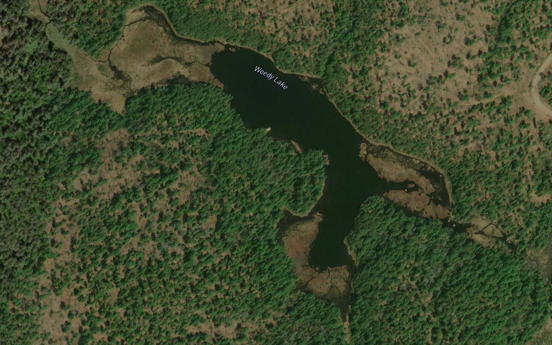 Satellite map of the Weedy Lake