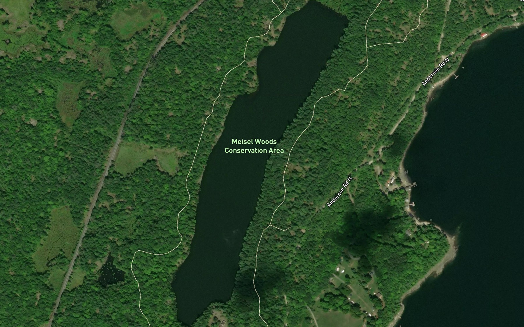 Satellite map of the Beaver Lake