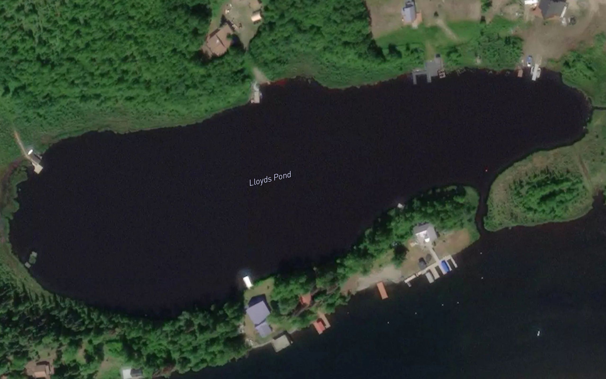 Lloyds Pond