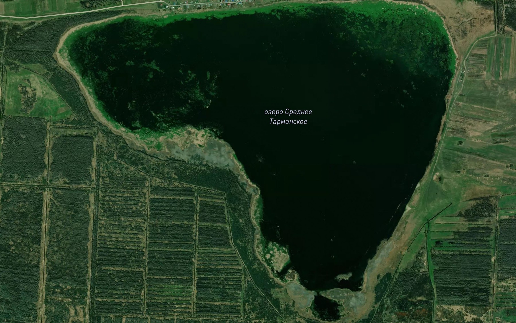 Satellite map of the Ozero Sredneye Tarmanskoye