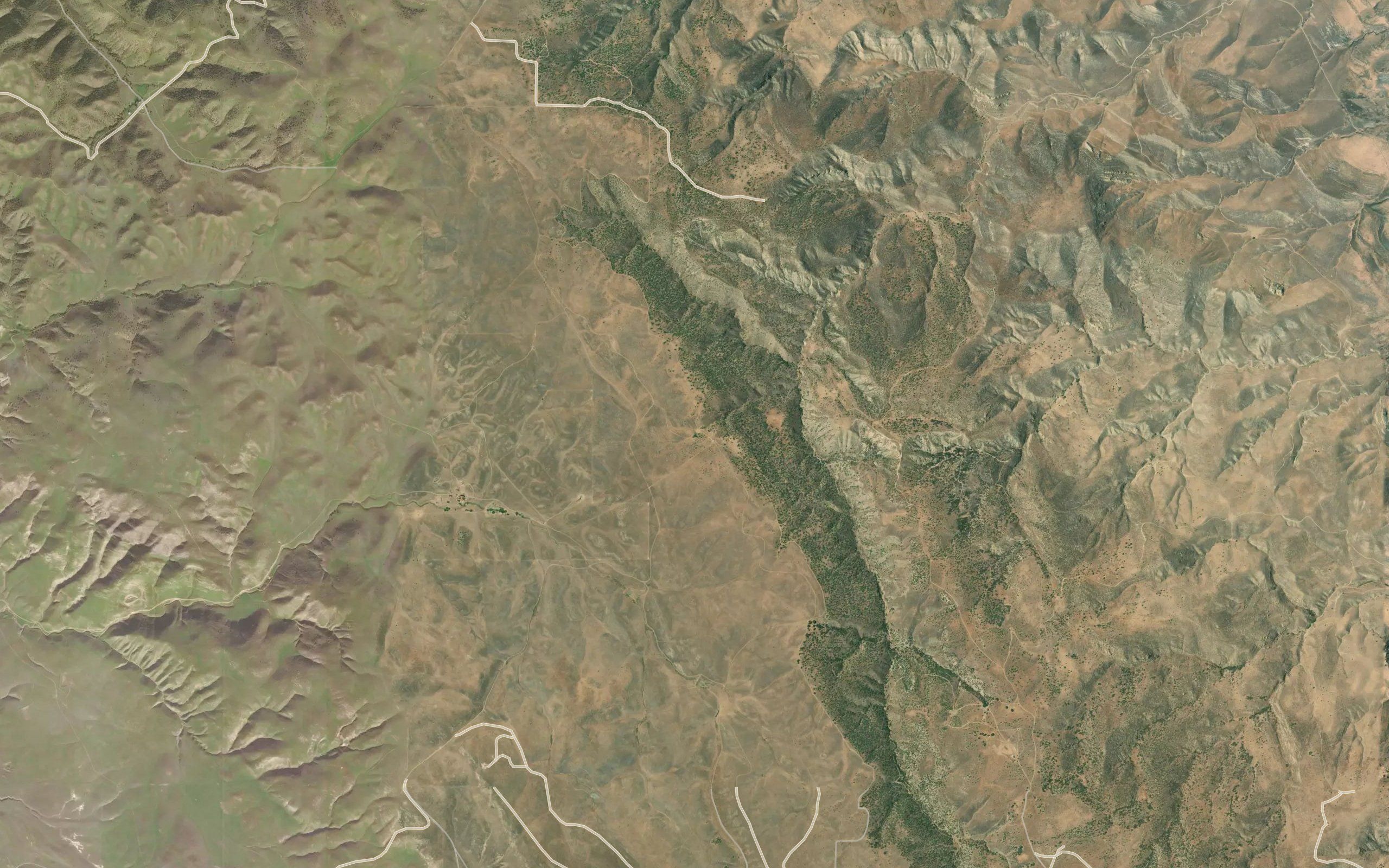 Taylor Spring