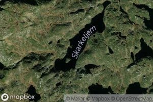 Skarketjorn