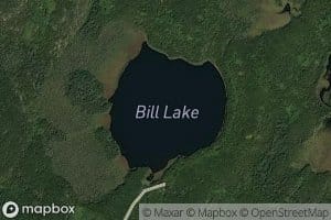 Bill Lake