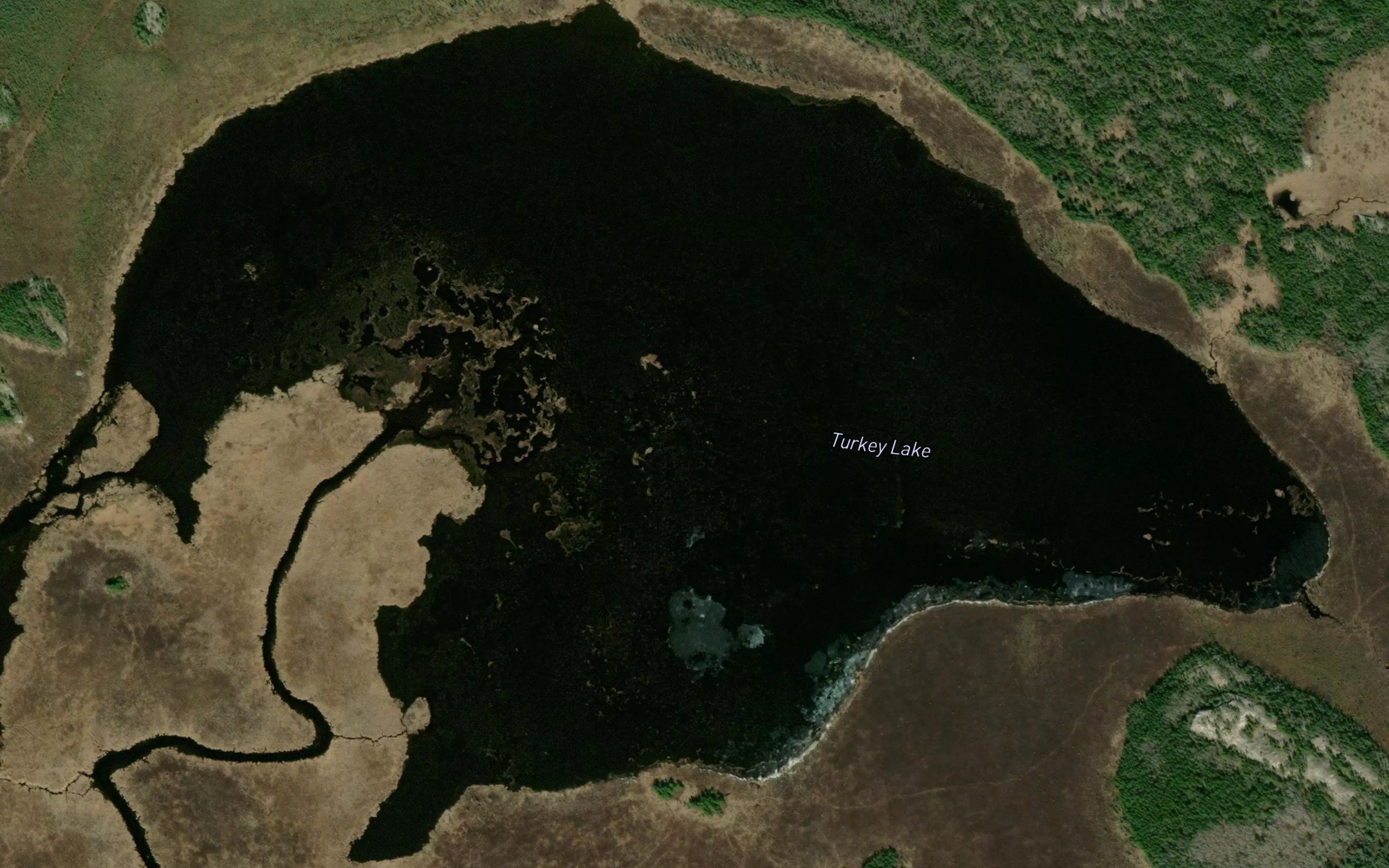 Turkey Lake