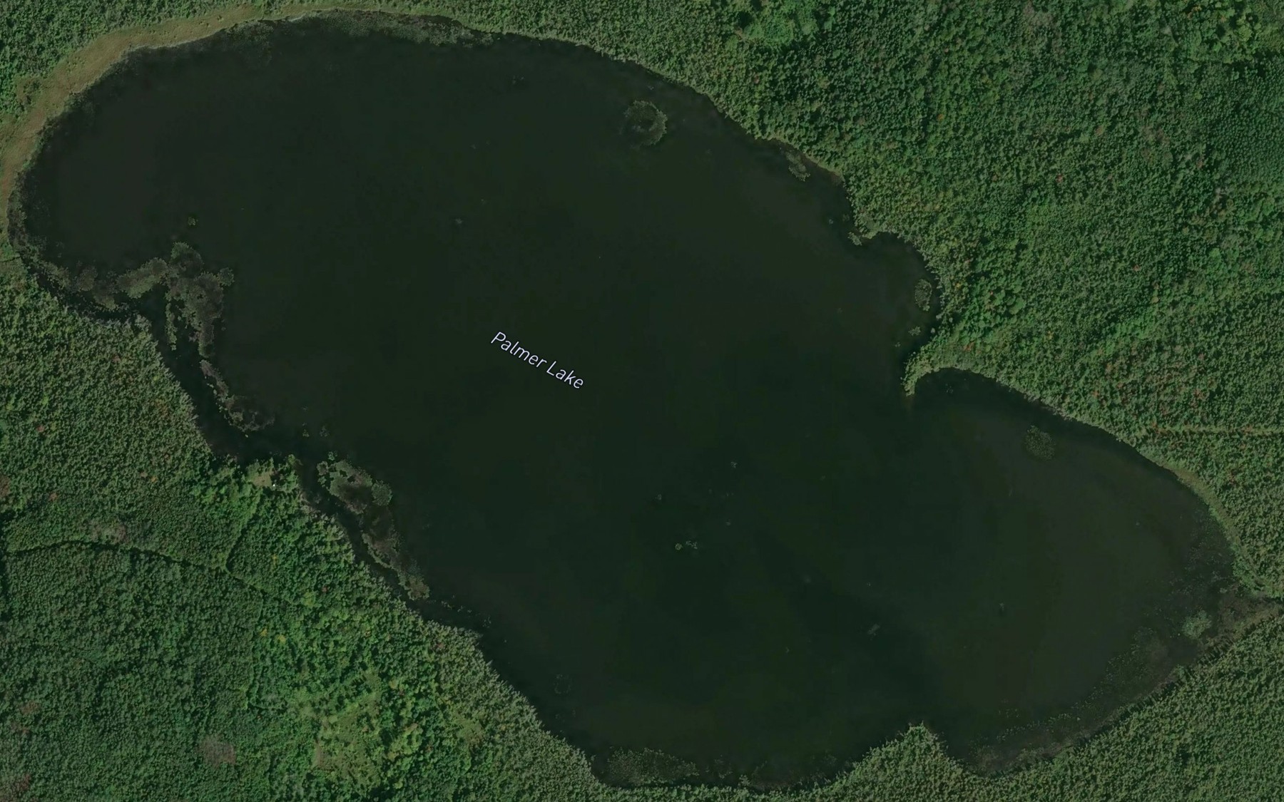Satellite map of the Palmer Lake