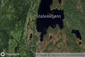 Stabekktjorni