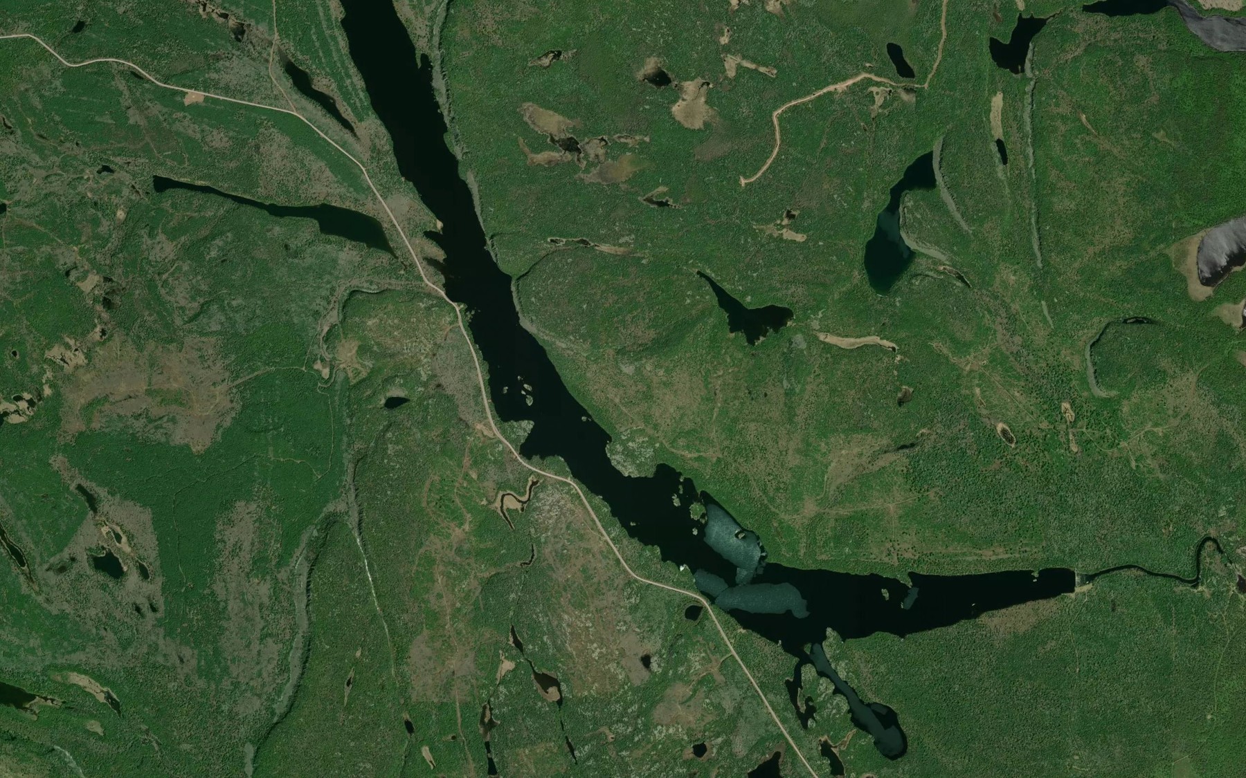 Satellite map of the Wolf Lake