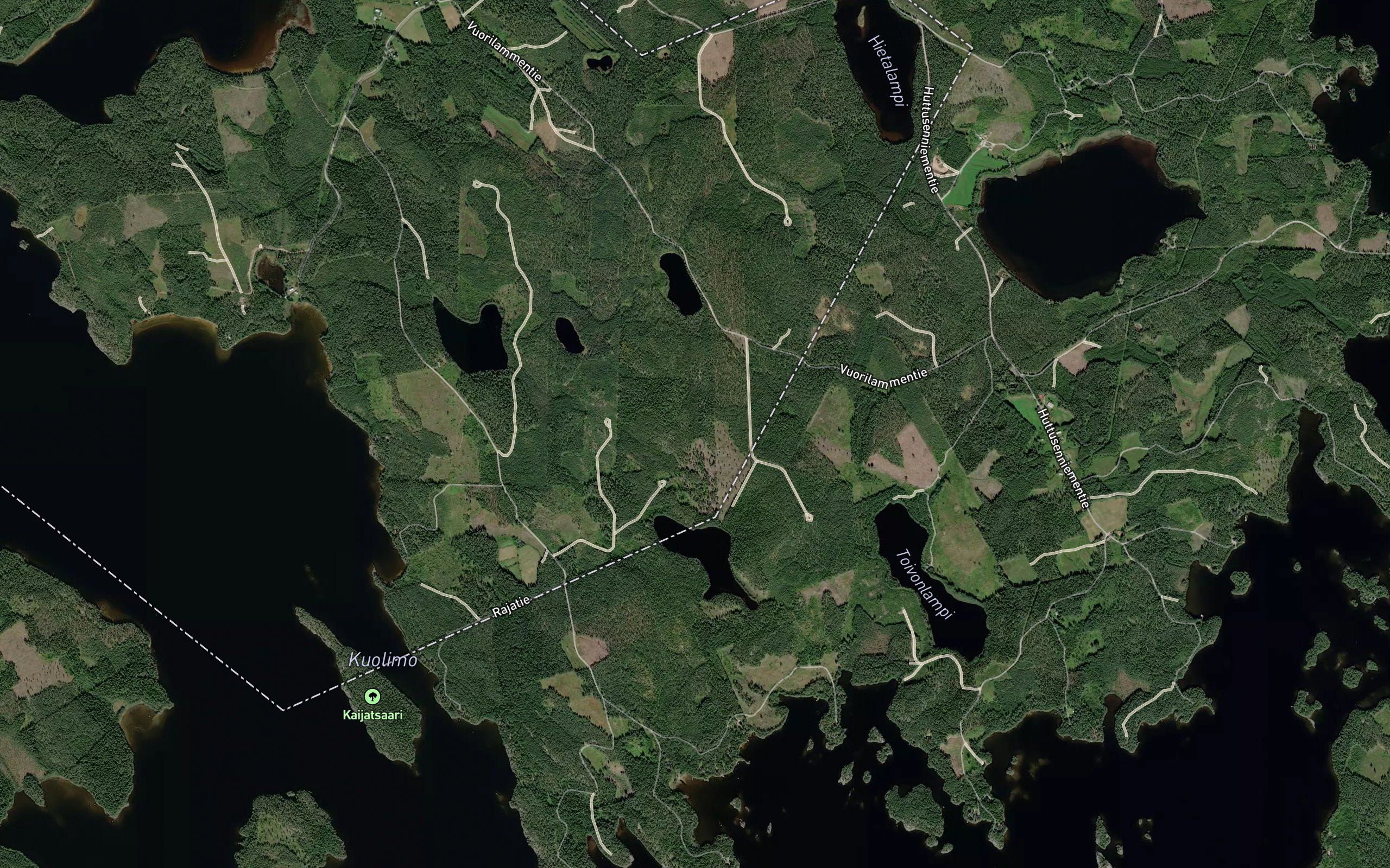 Viinarotko