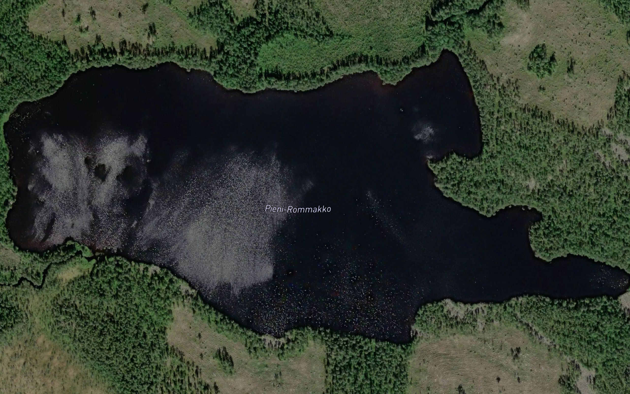 Pieni-Rommakko