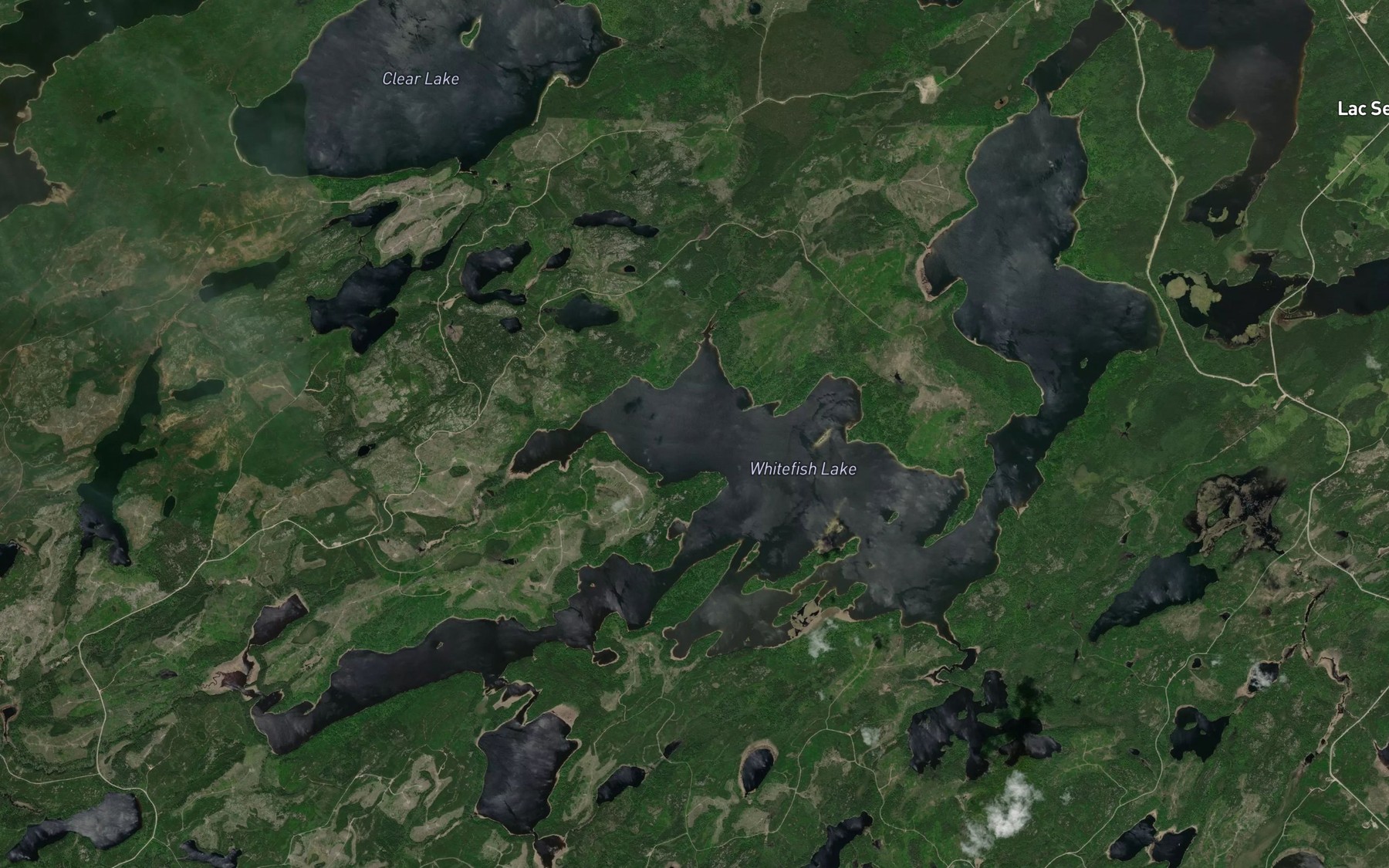 Satellite map of the Whitefish Lake