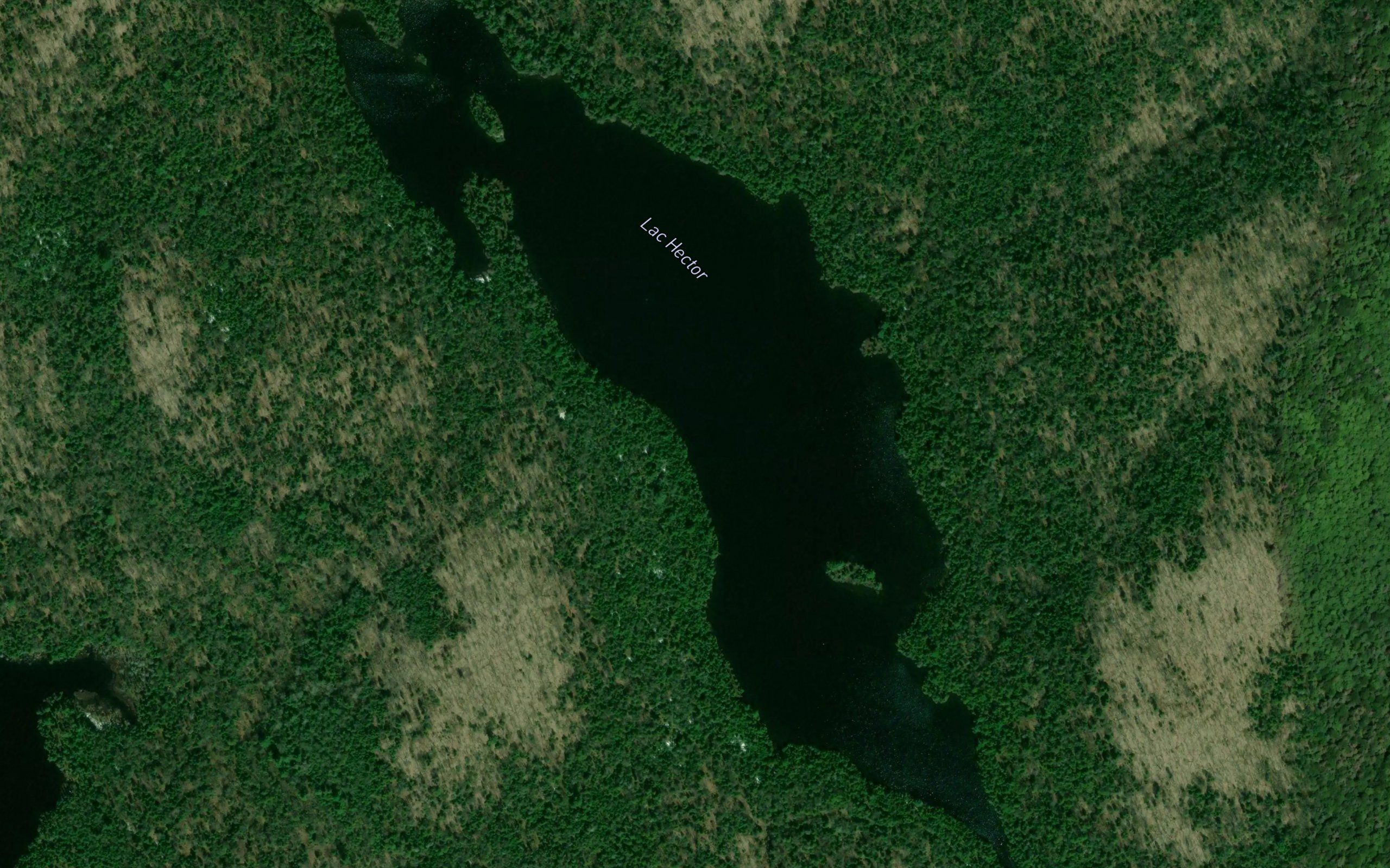 Lac Hector