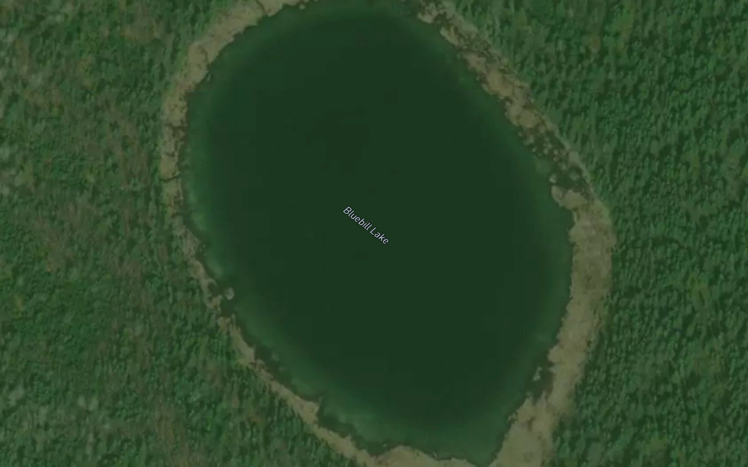 Bluebill Lake