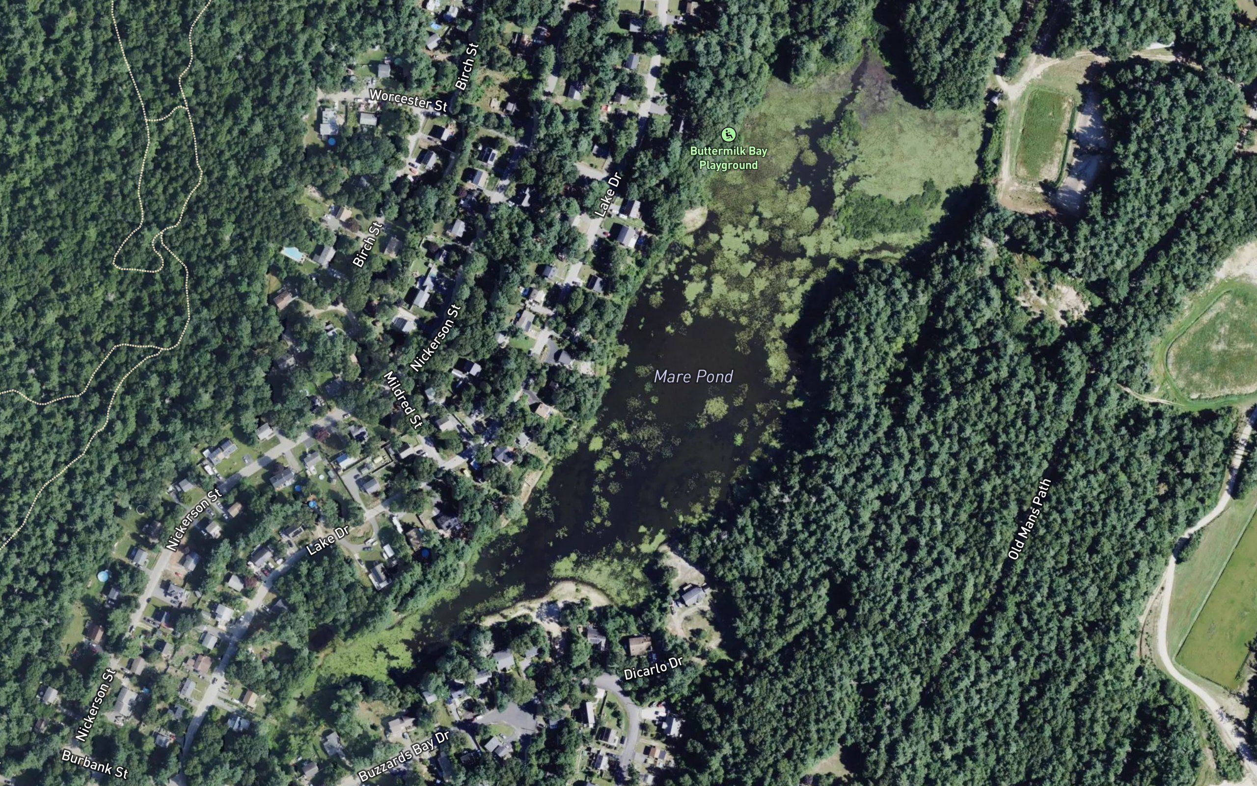 Mare Pond