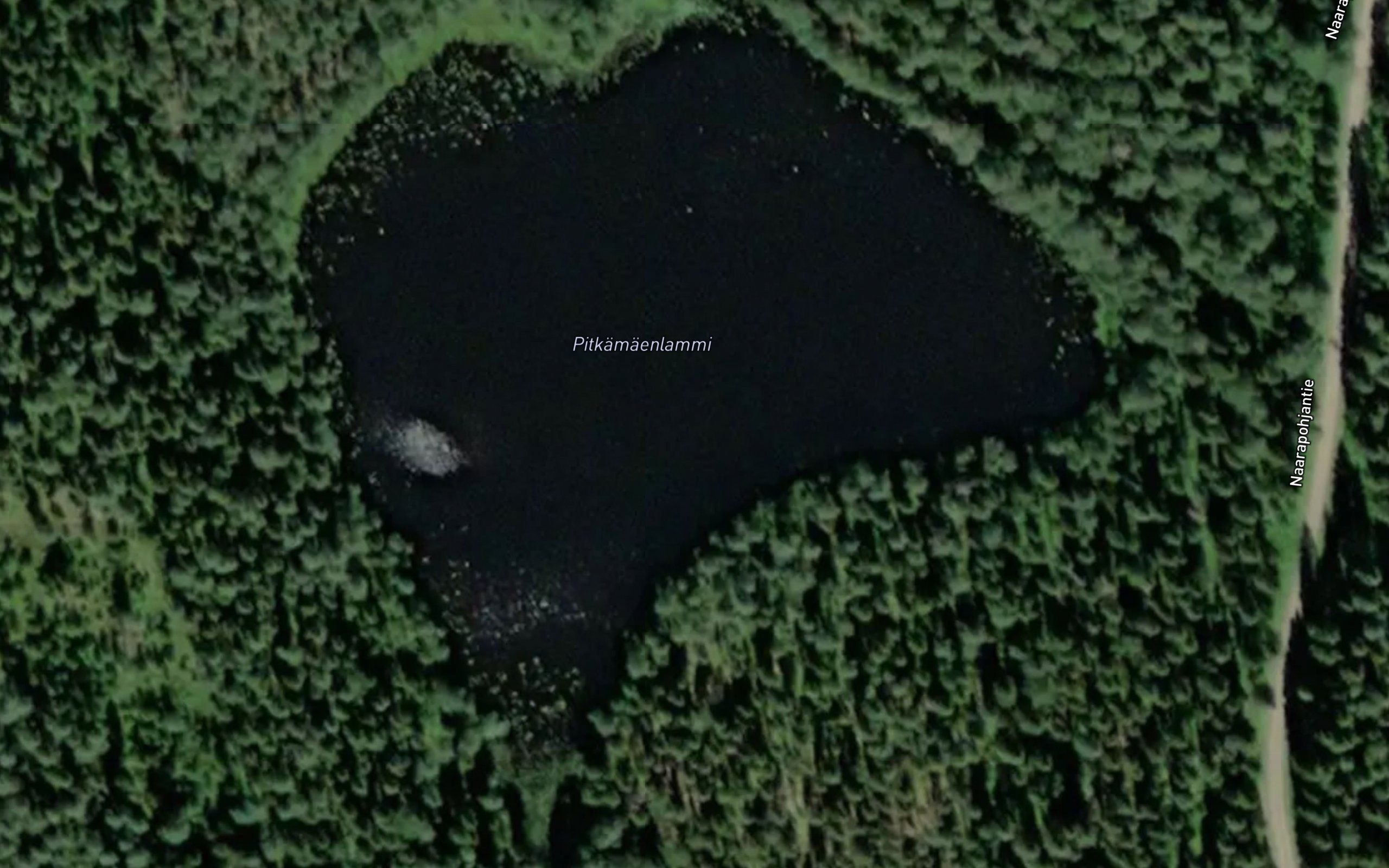 Pitkamaenlammi