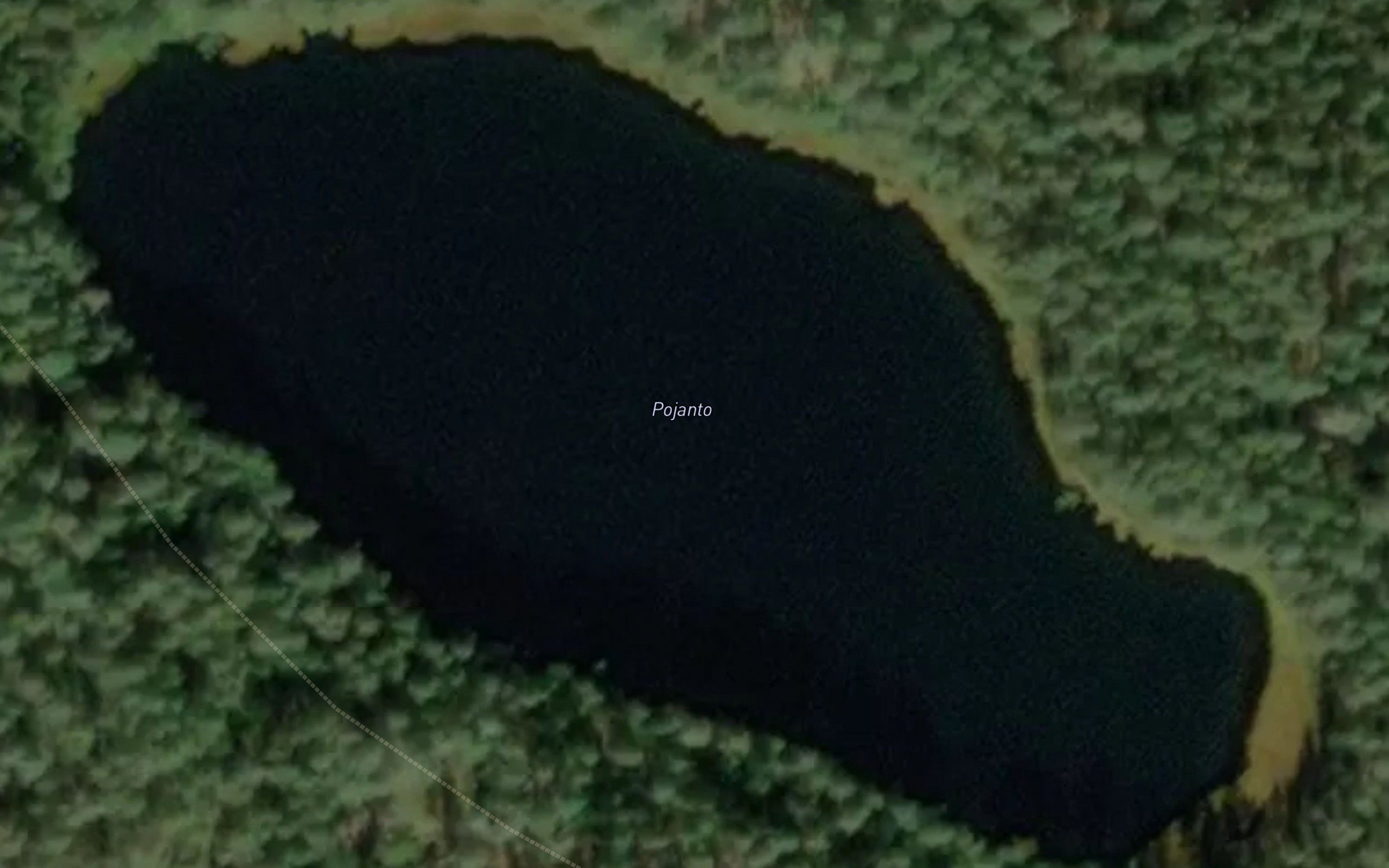 Pojanto