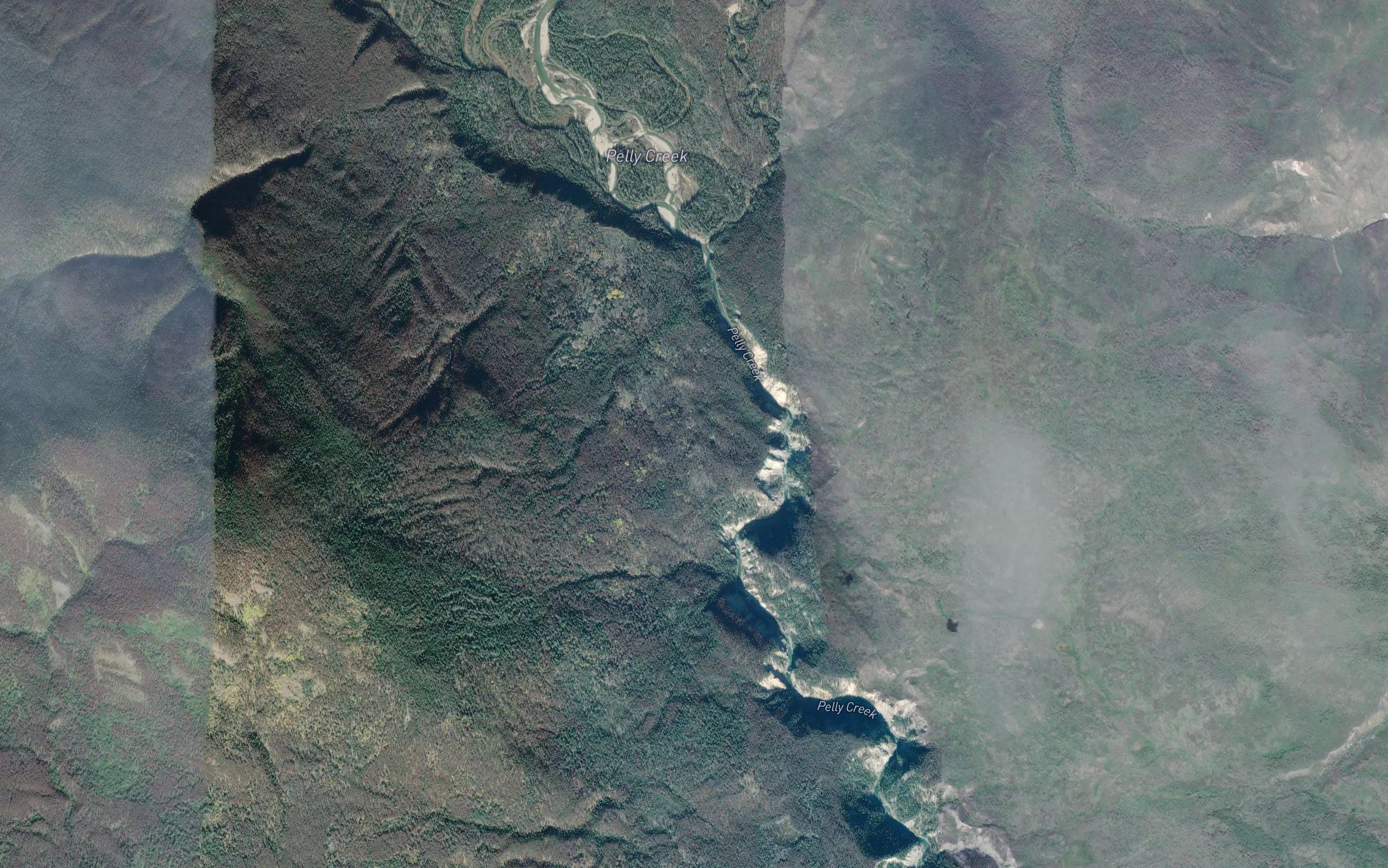 Zygadene Creek