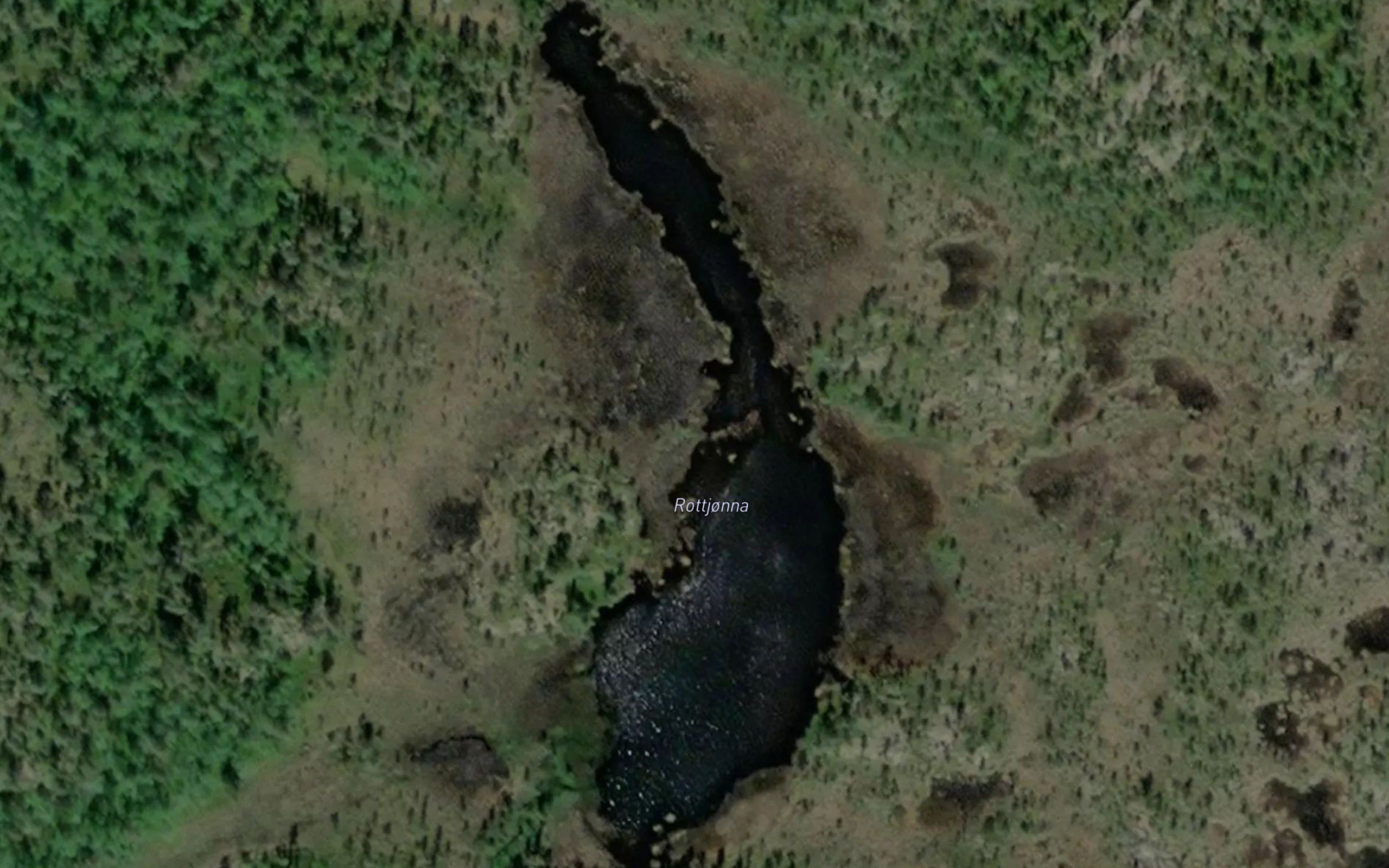Rottjonna