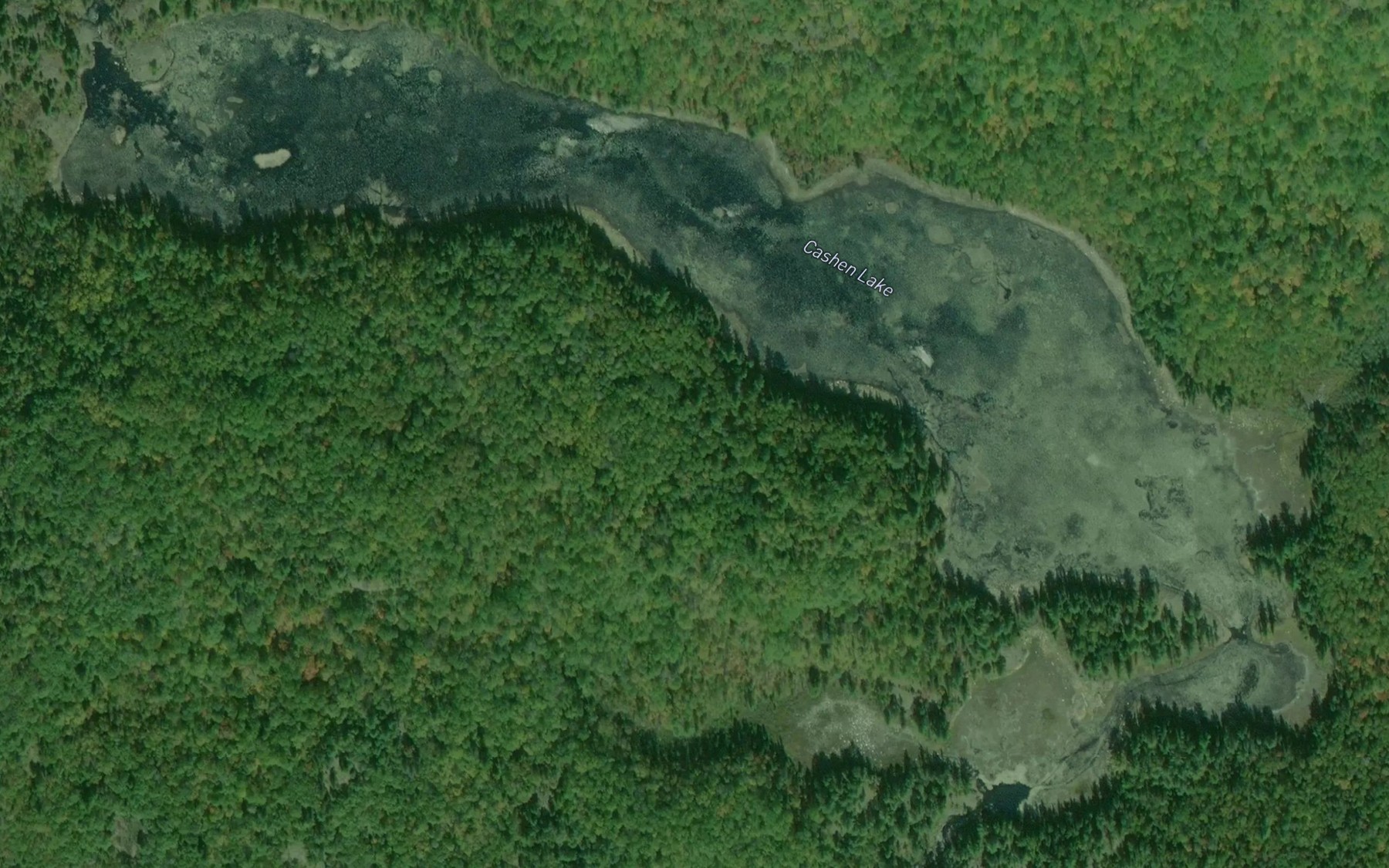 Satellite map of the Cashen Lake