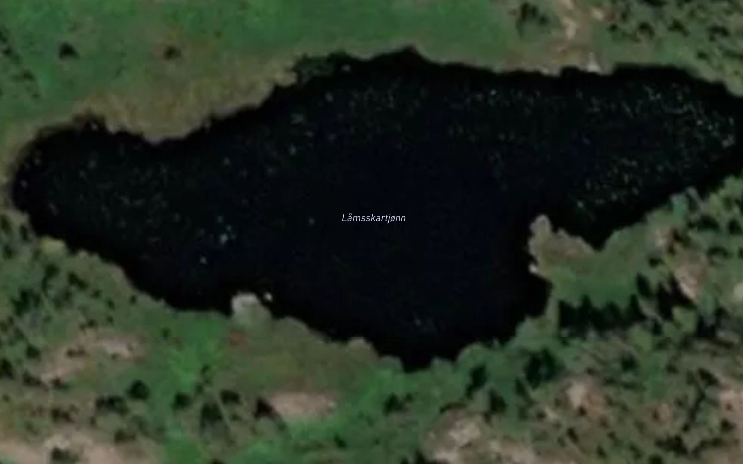 Lamsskartjonn