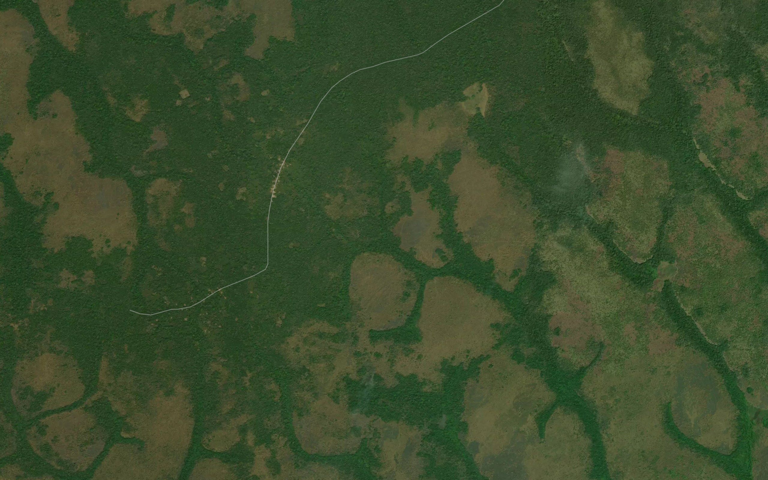 Bandali