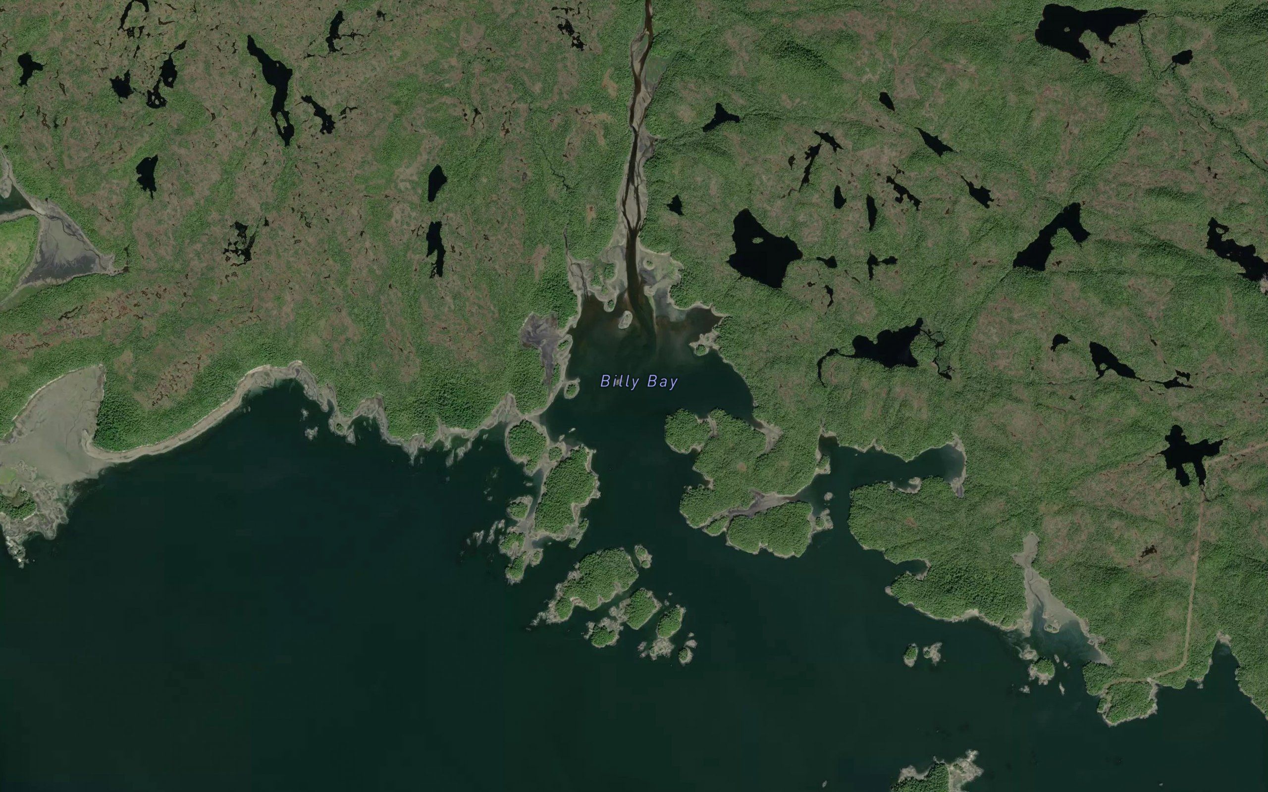 Billy Bay