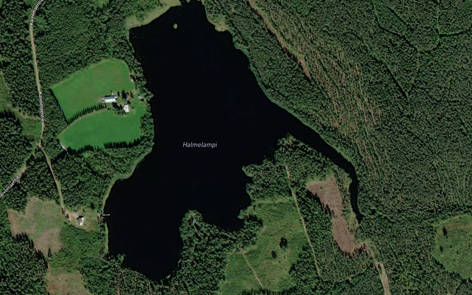Satellite map of the Halmelampi