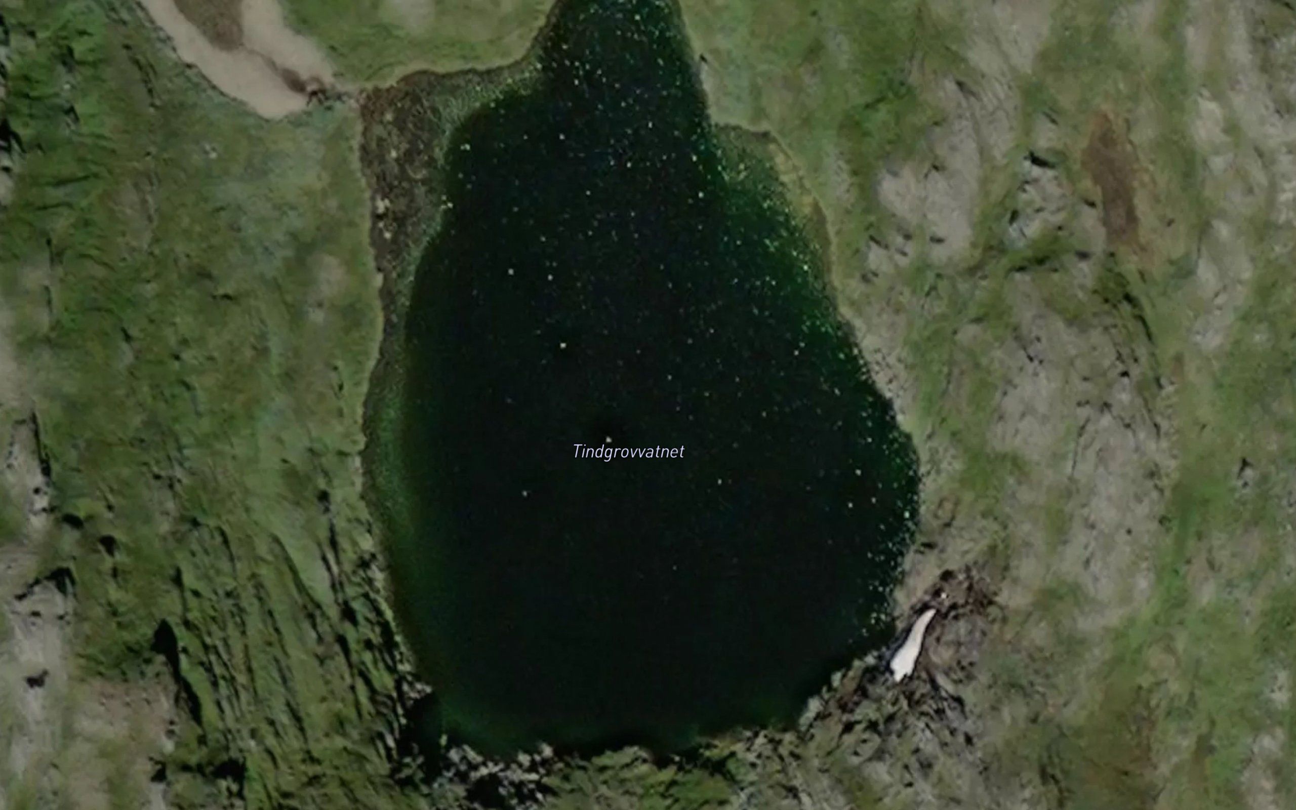 Tindgrovvatnet