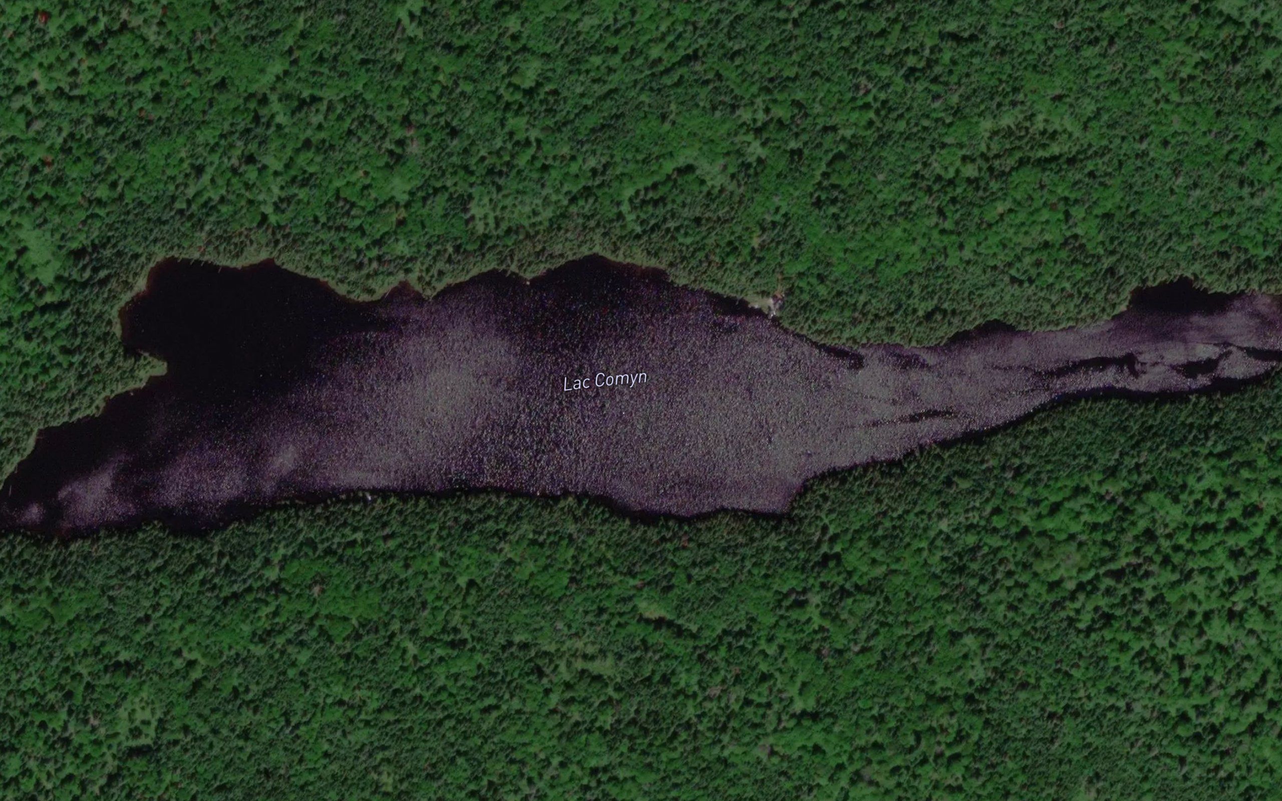 Lac Comyn
