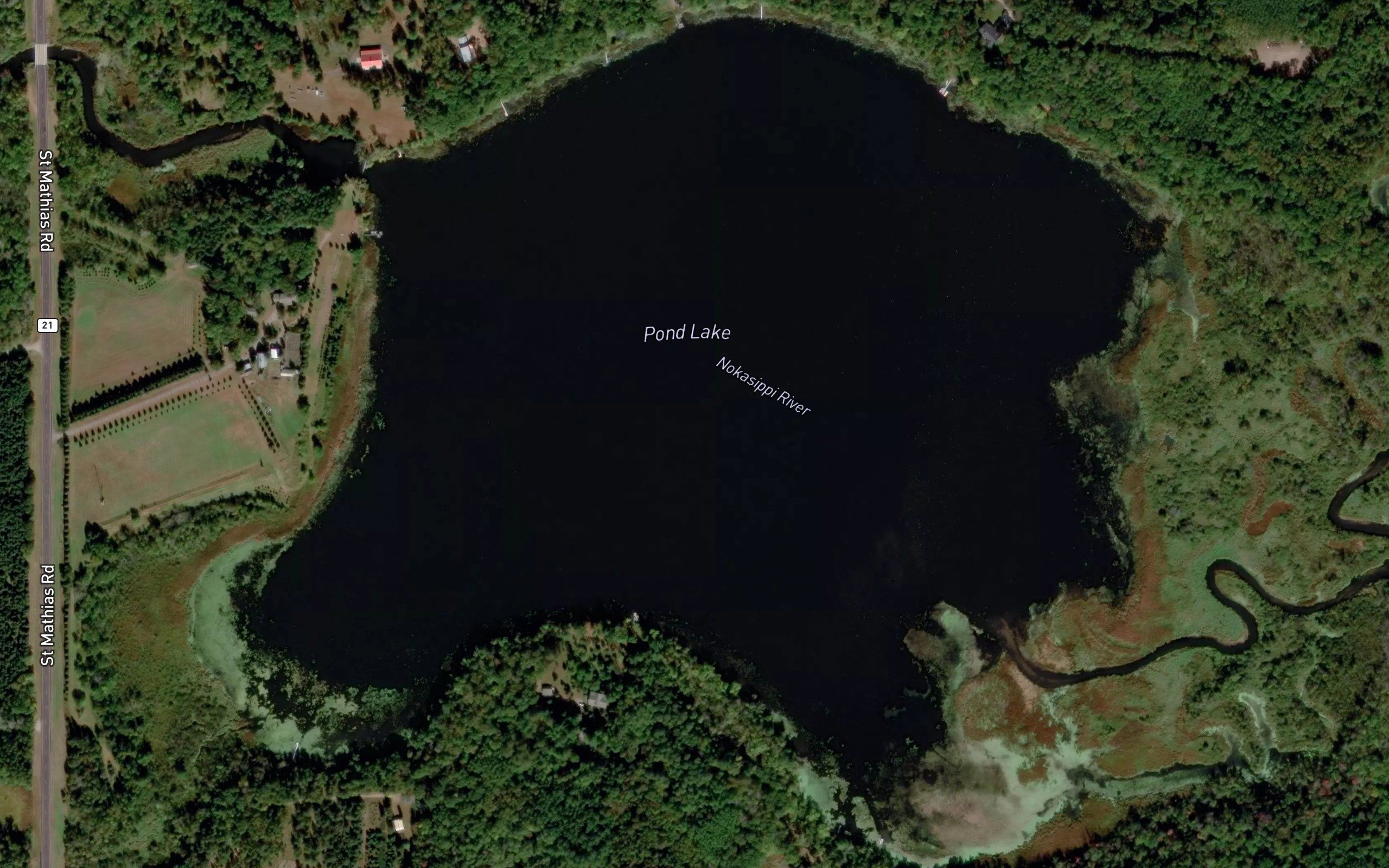 Pond Lake