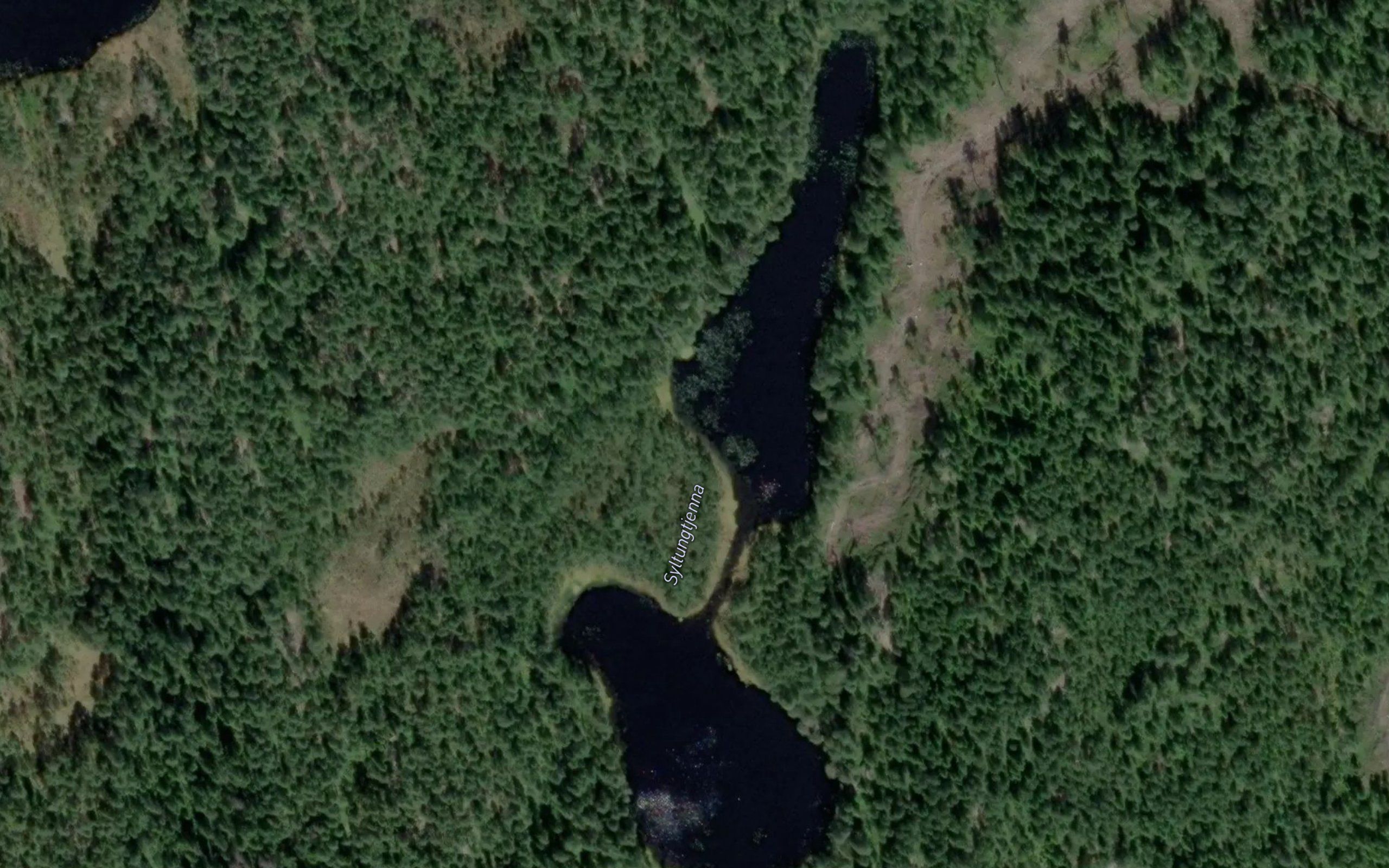 Syltungtjerna