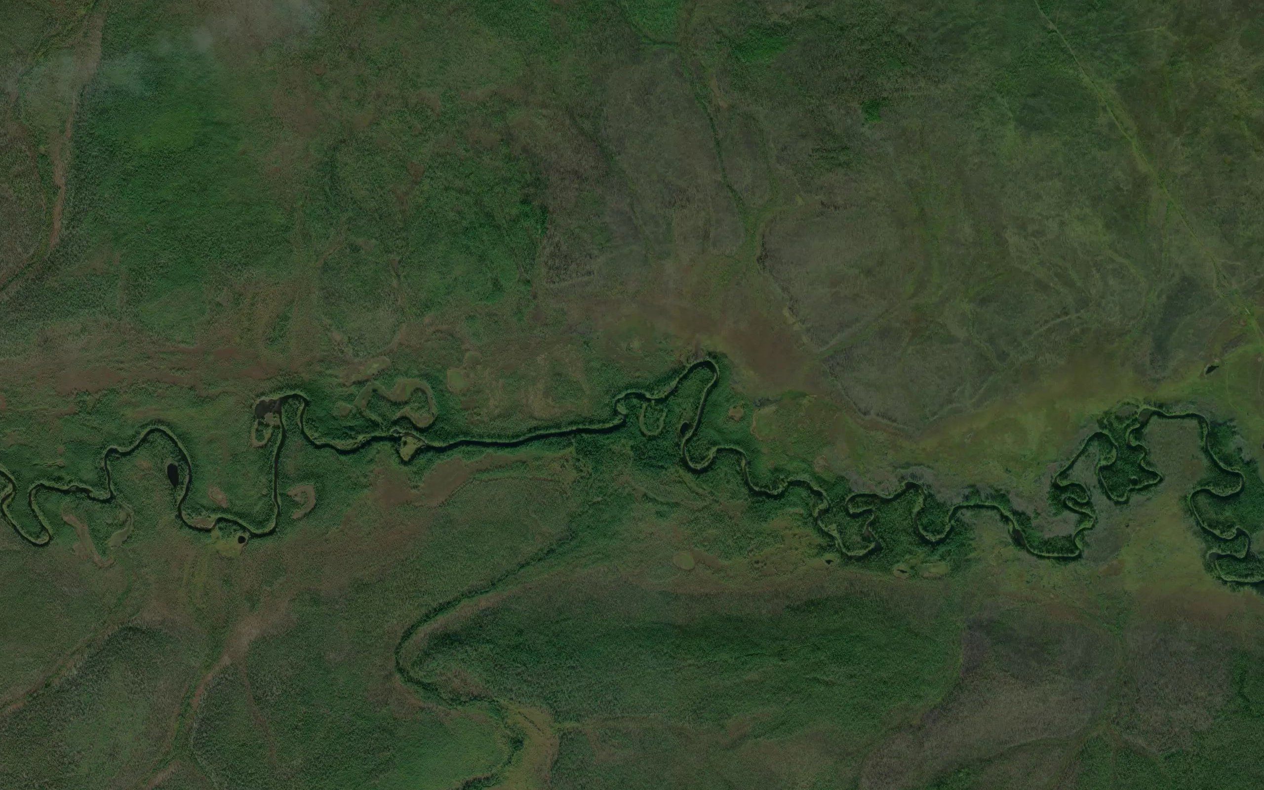 Umotka