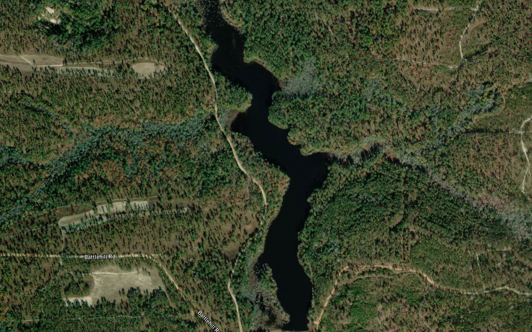Satellite map of the Lower Leitner Pond