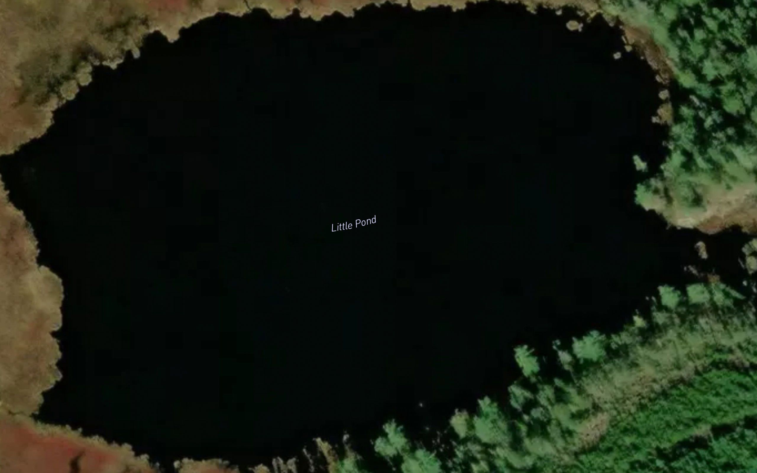 Little Pond