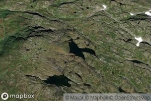 Vargeskortjonn