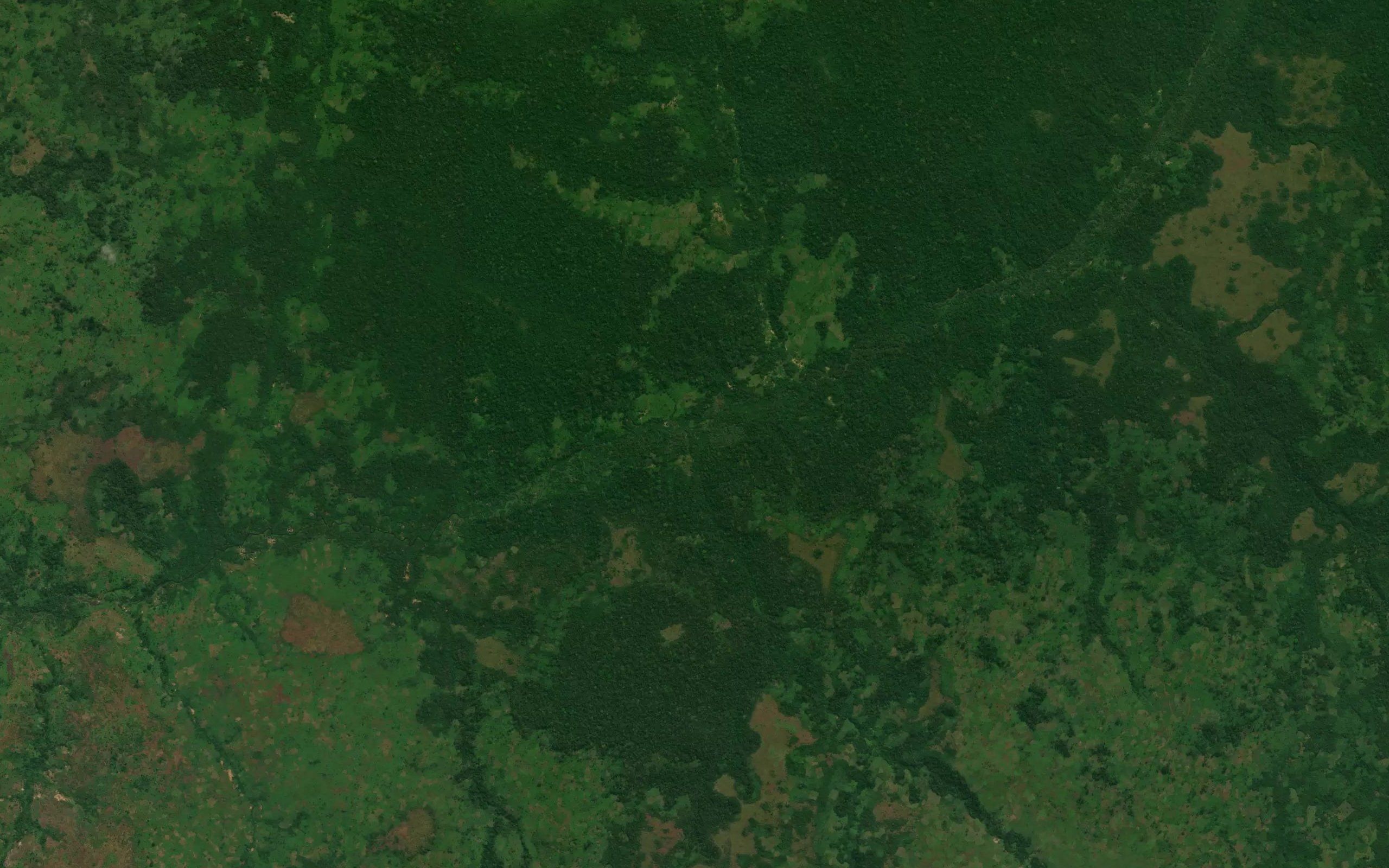 Shimba