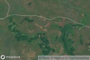 Tandu