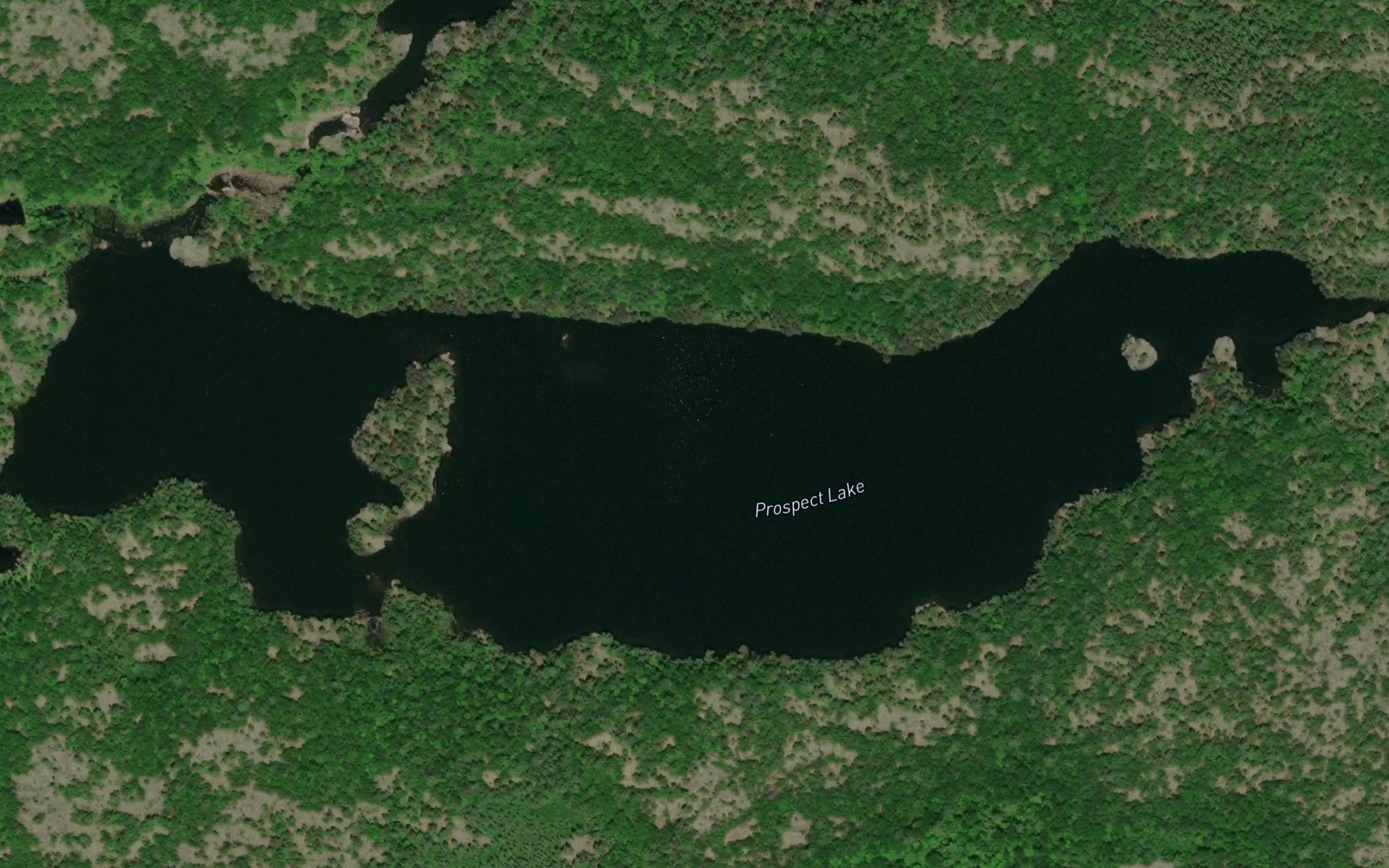 Satellite map of the Prospect Lake