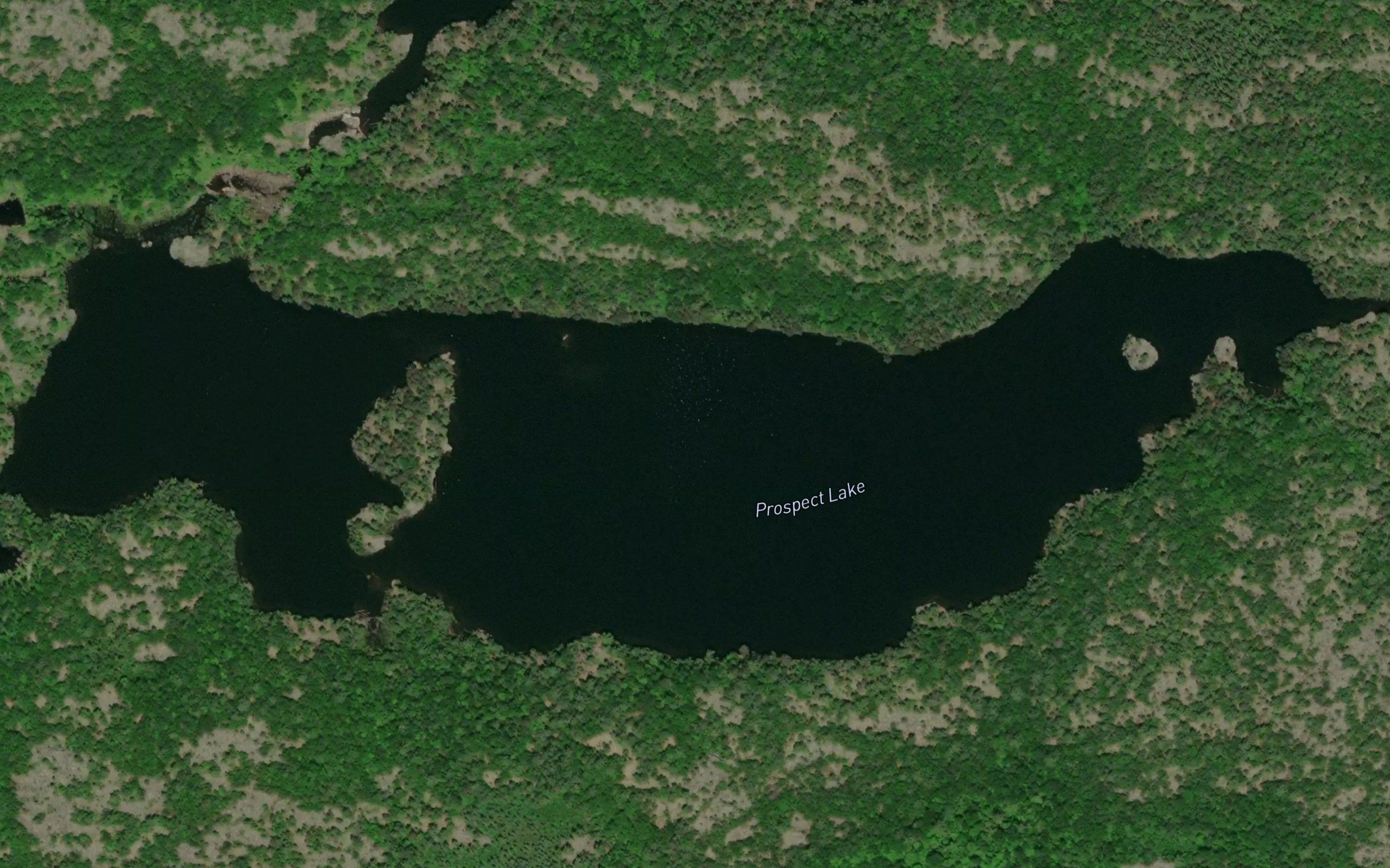 Prospect Lake