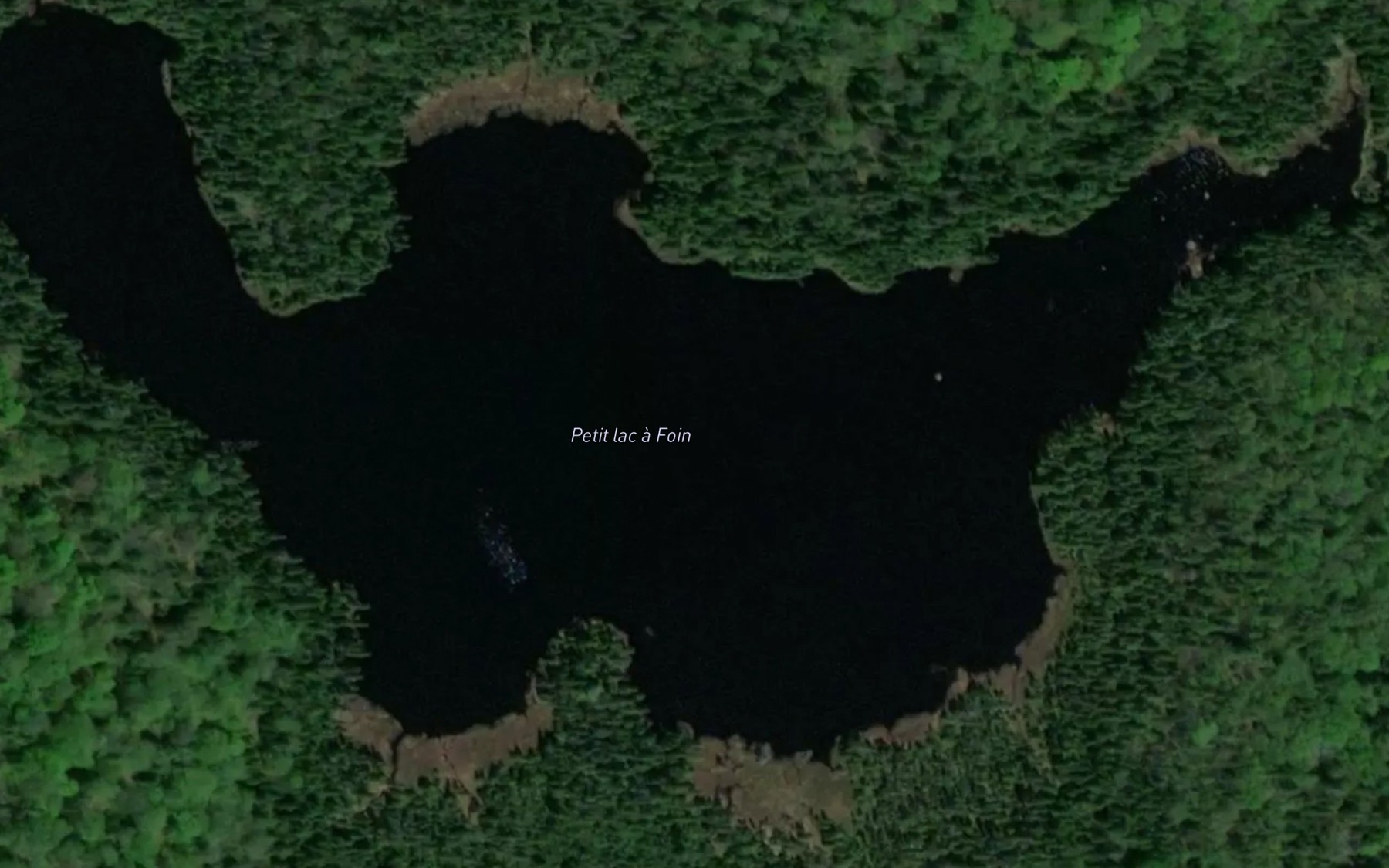 Satellite map of the Petit lac a Foin